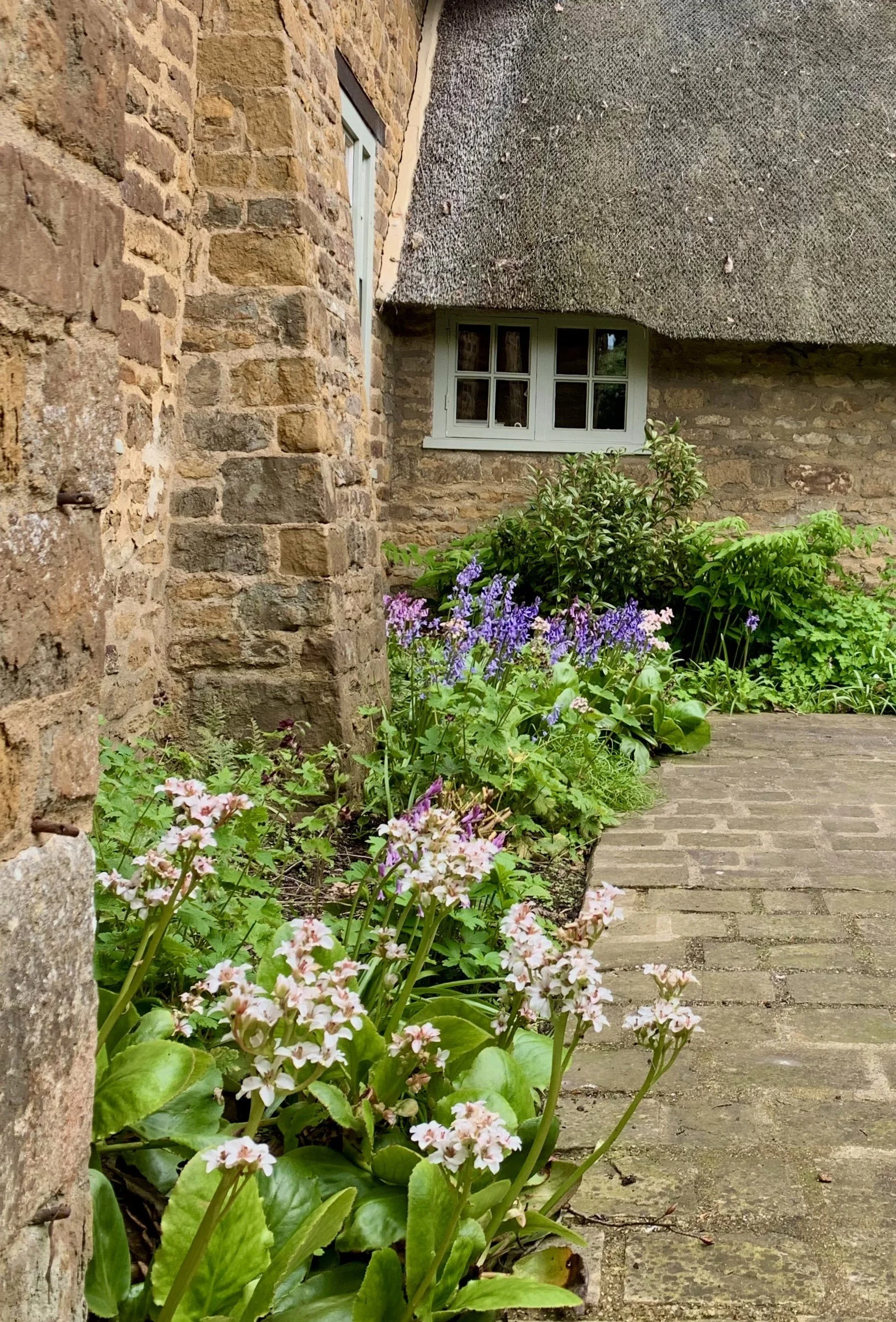 2023-05-01 15.48.43.jpg