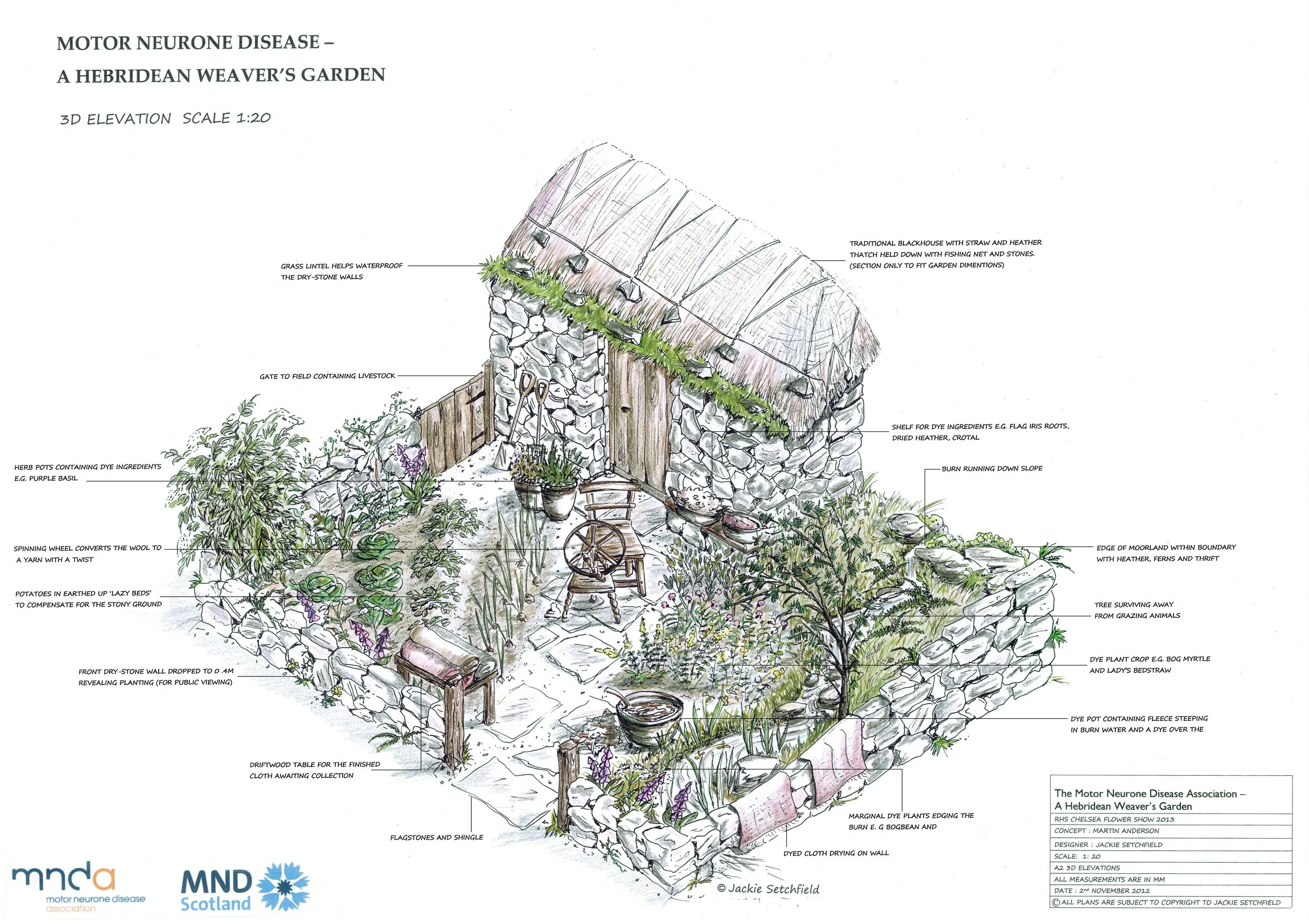 Sketch of Chelsea flower show gold medal winning garden by Nottinghamshire garden design by Olive Tree Garden. Nottinghamshire landscape gardener