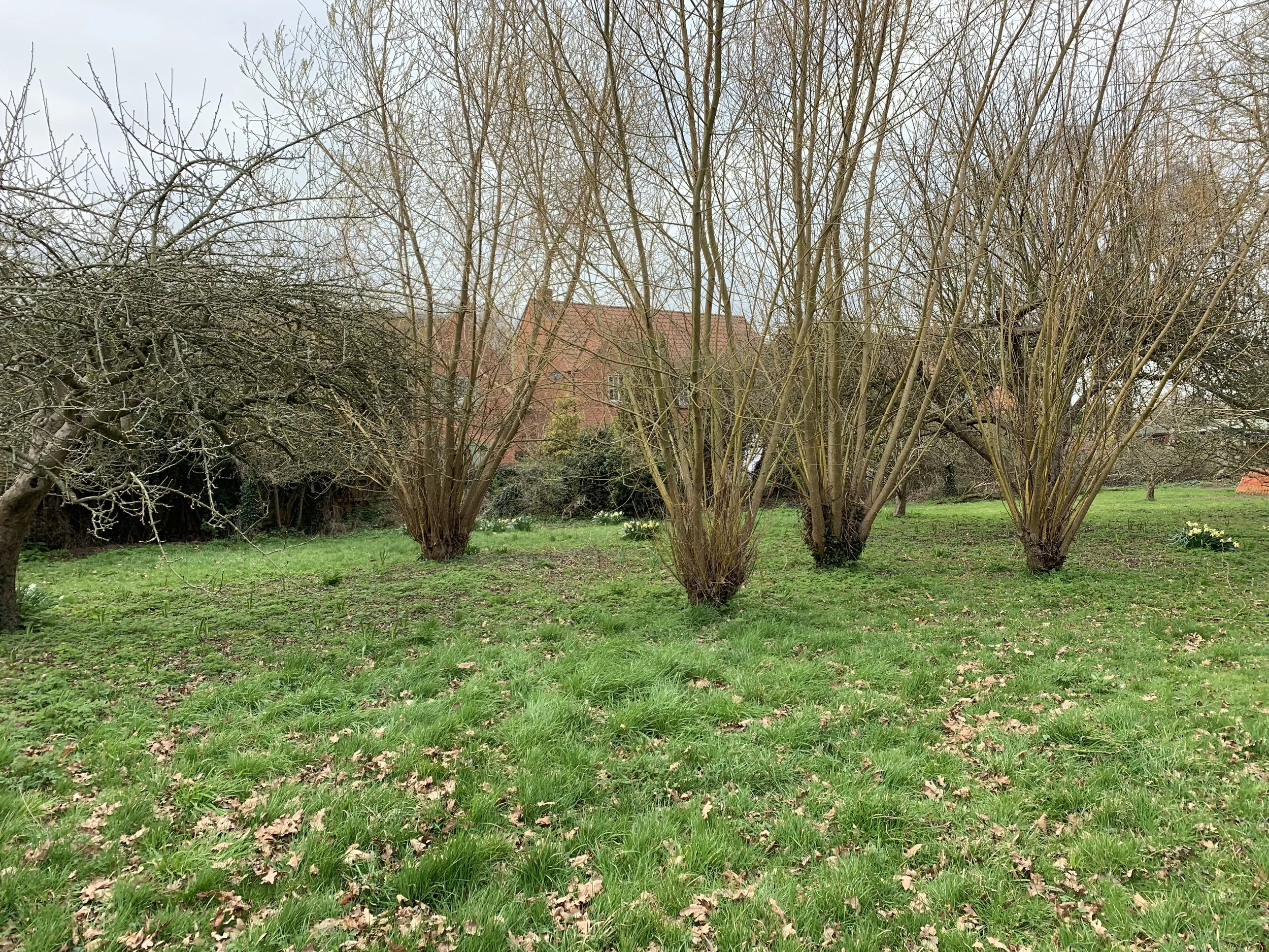 2019-03-21 16.23.25.jpg