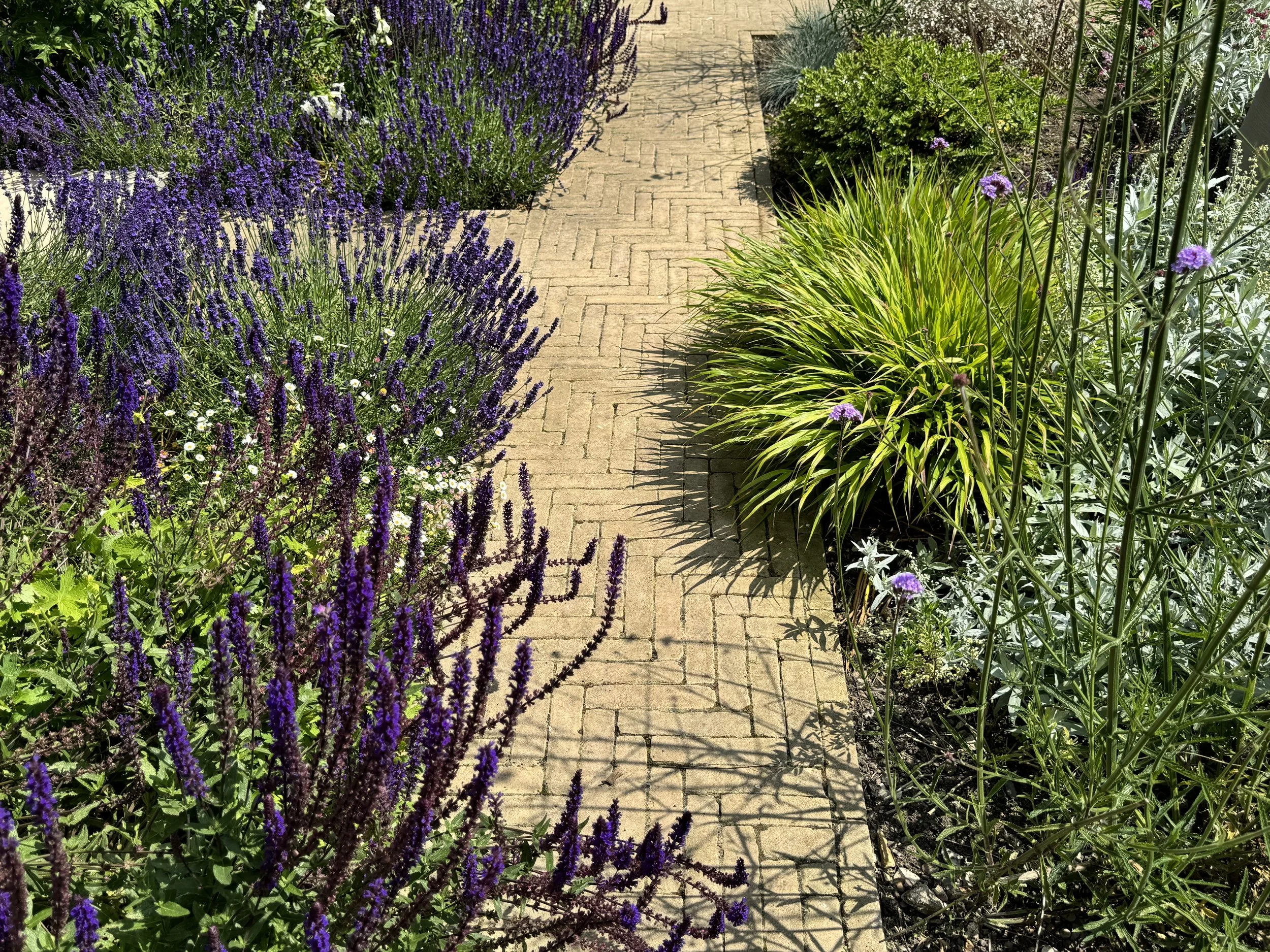 2024-06-26 13.47.50.jpg