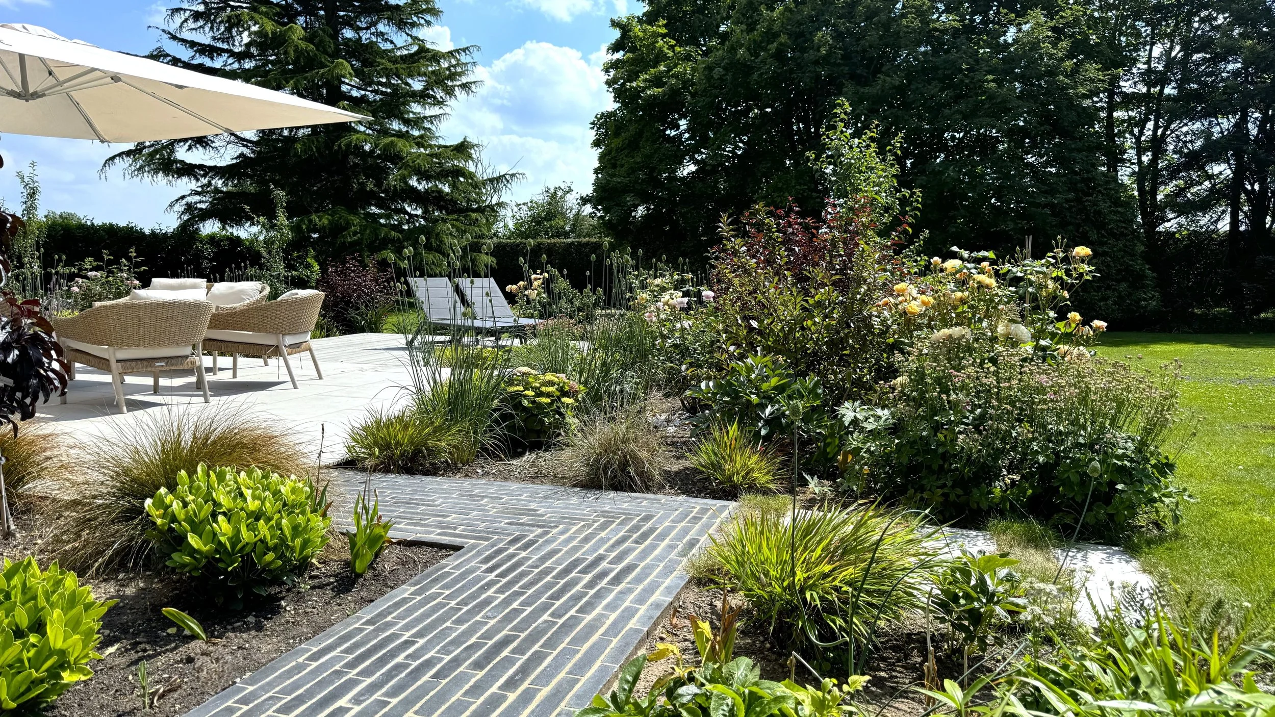 2024-06-26 15.09.17.jpg