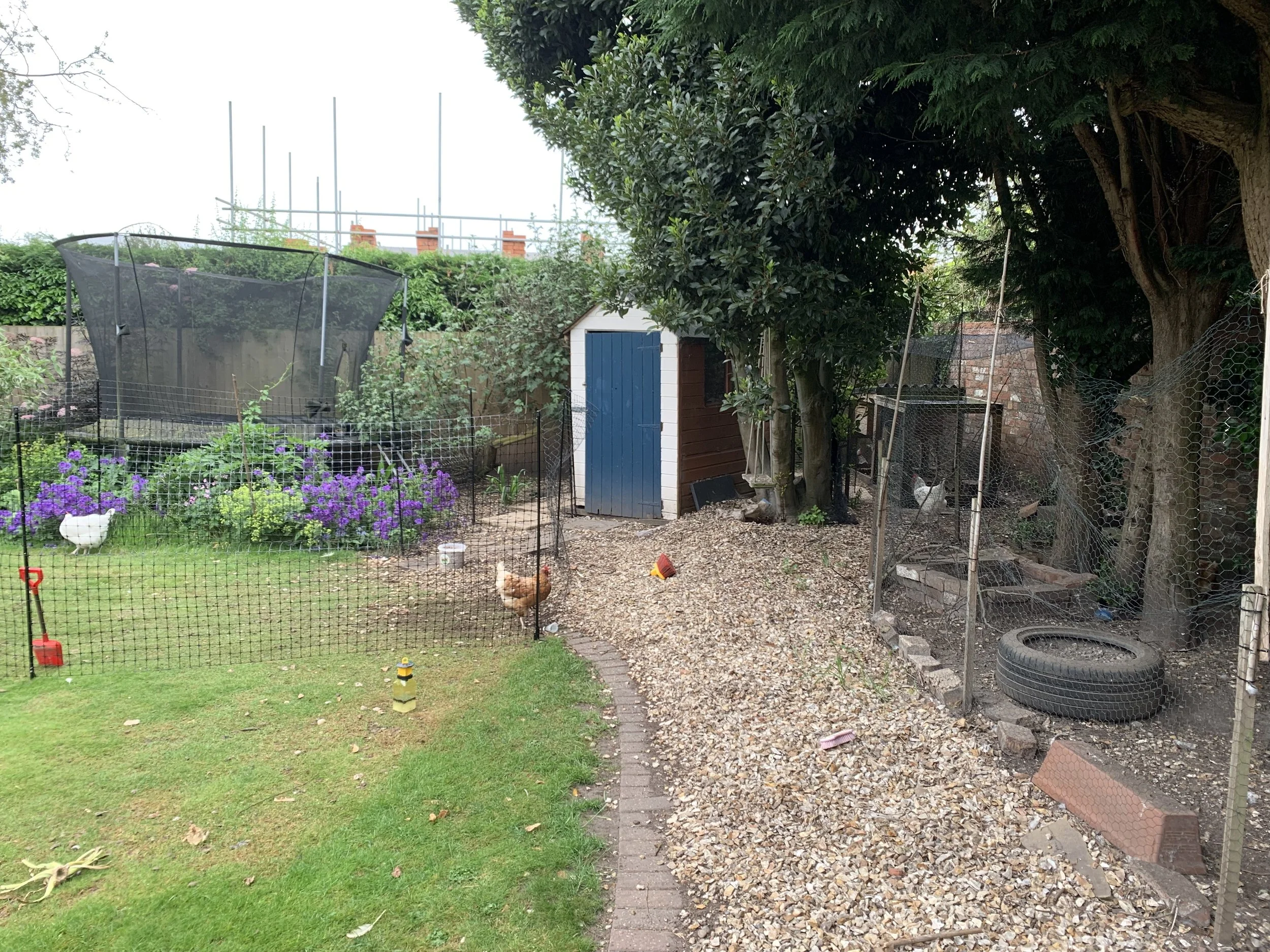 2021-06-18 09.40.36.jpg