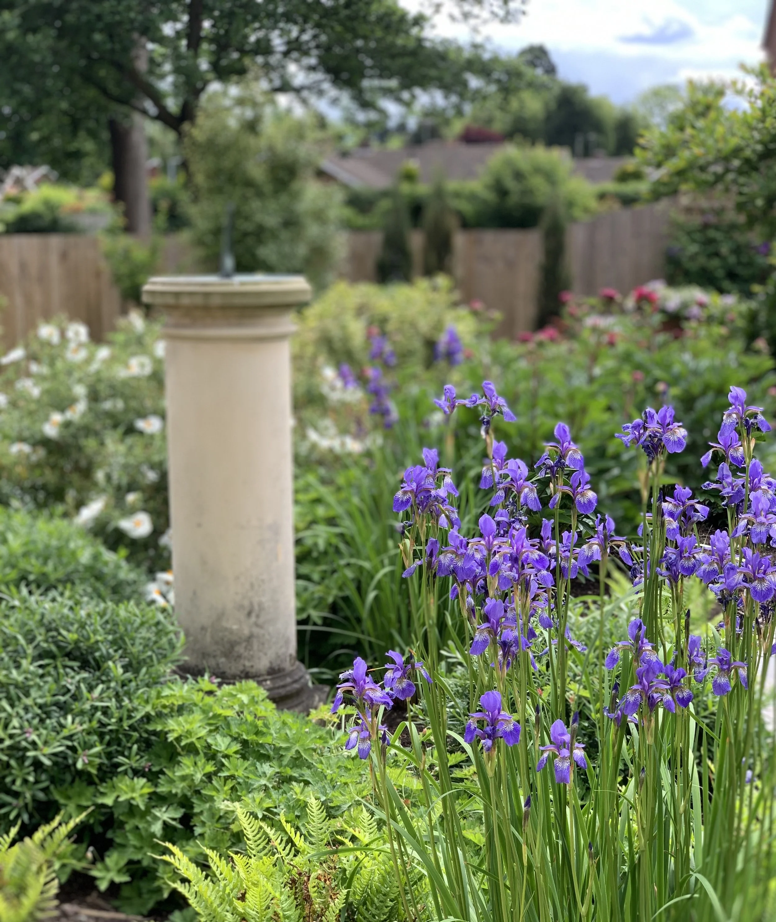 2022-05-28 14.25.19.jpg