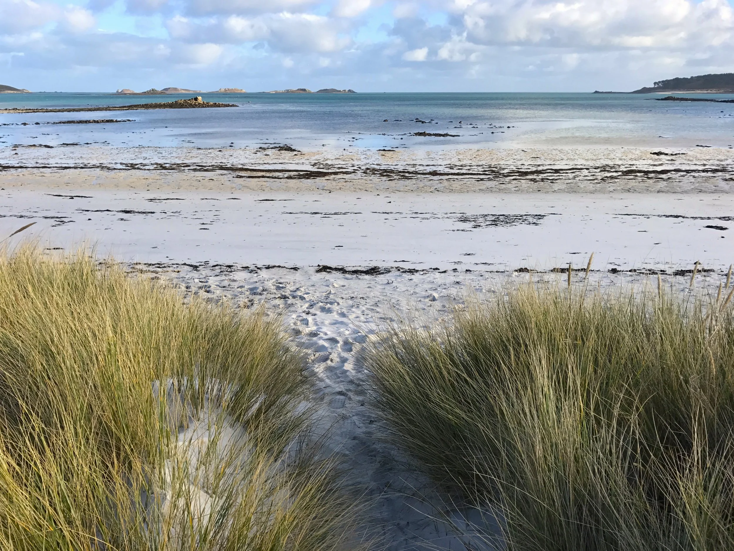 tresco landscape gardens and areas of beauty