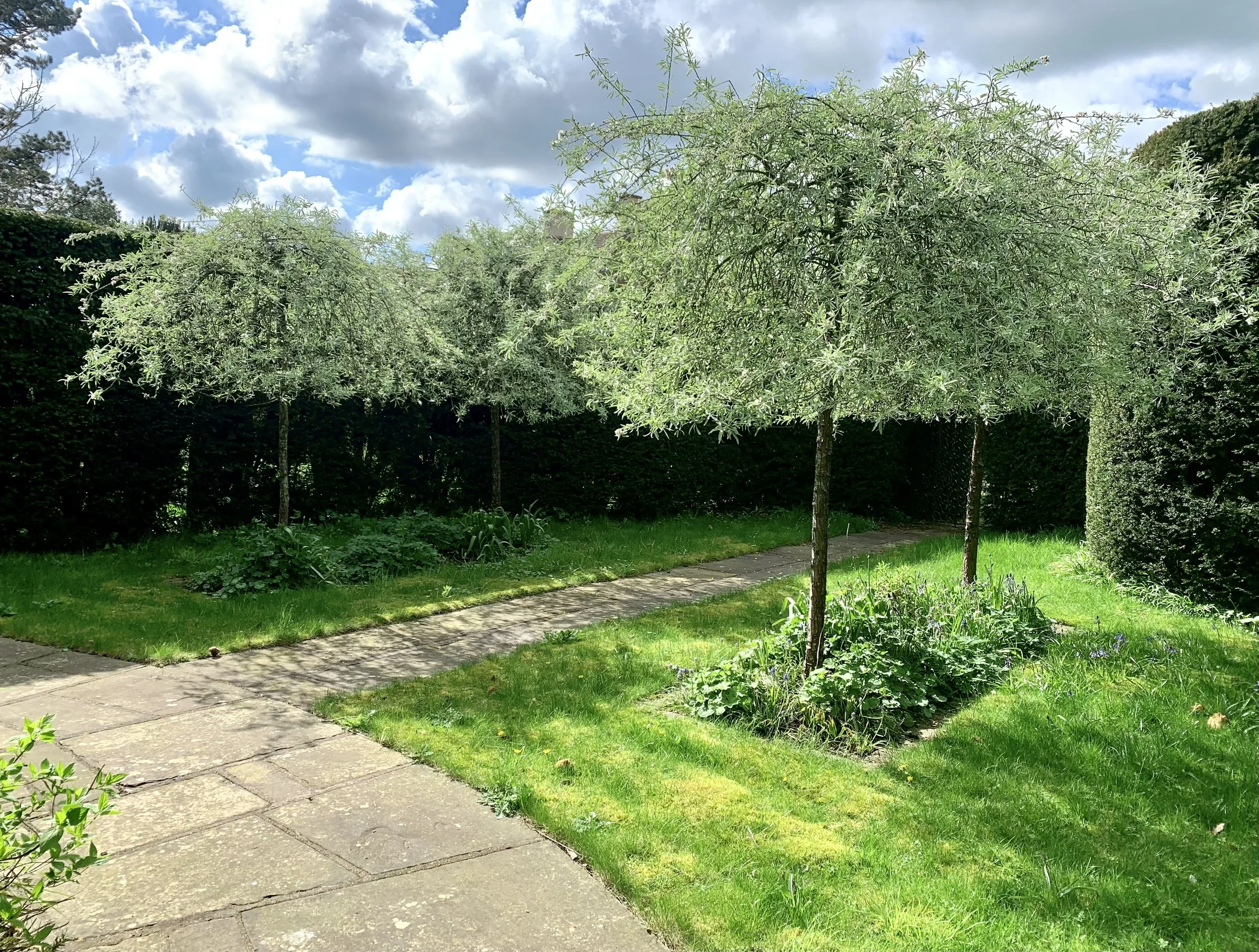 2023-05-01 15.47.08-1.jpg