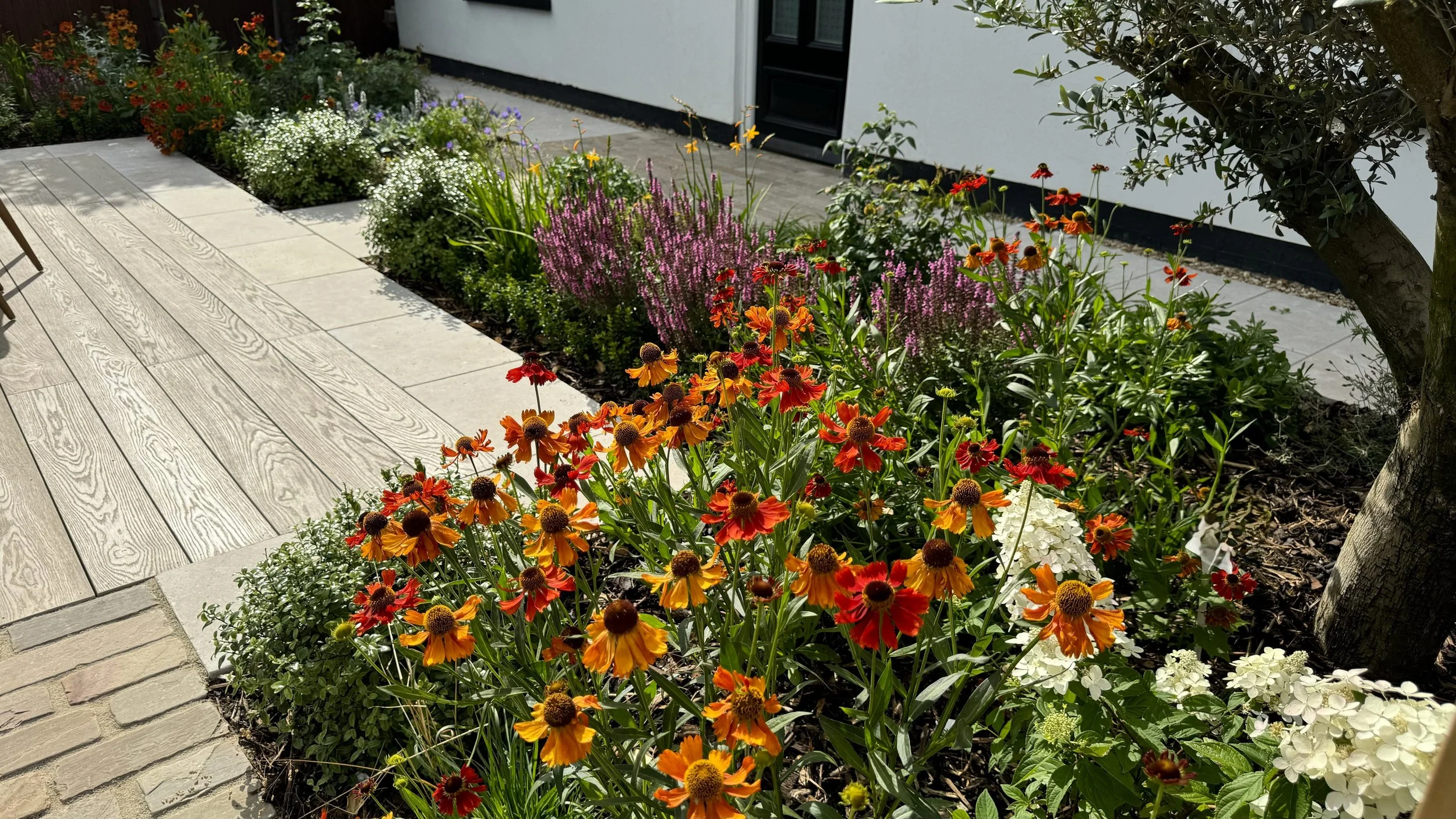 2024-07-26 16.38.39.jpg