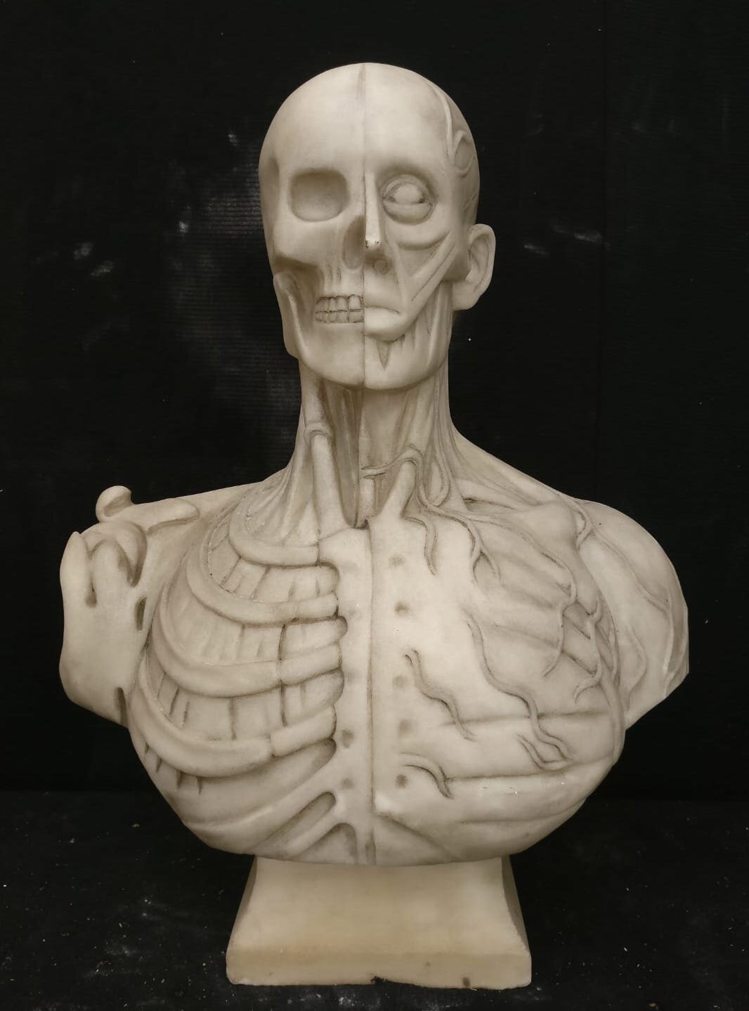 19th / 20th Century Italian Anatomical Vanitas Marble Bust