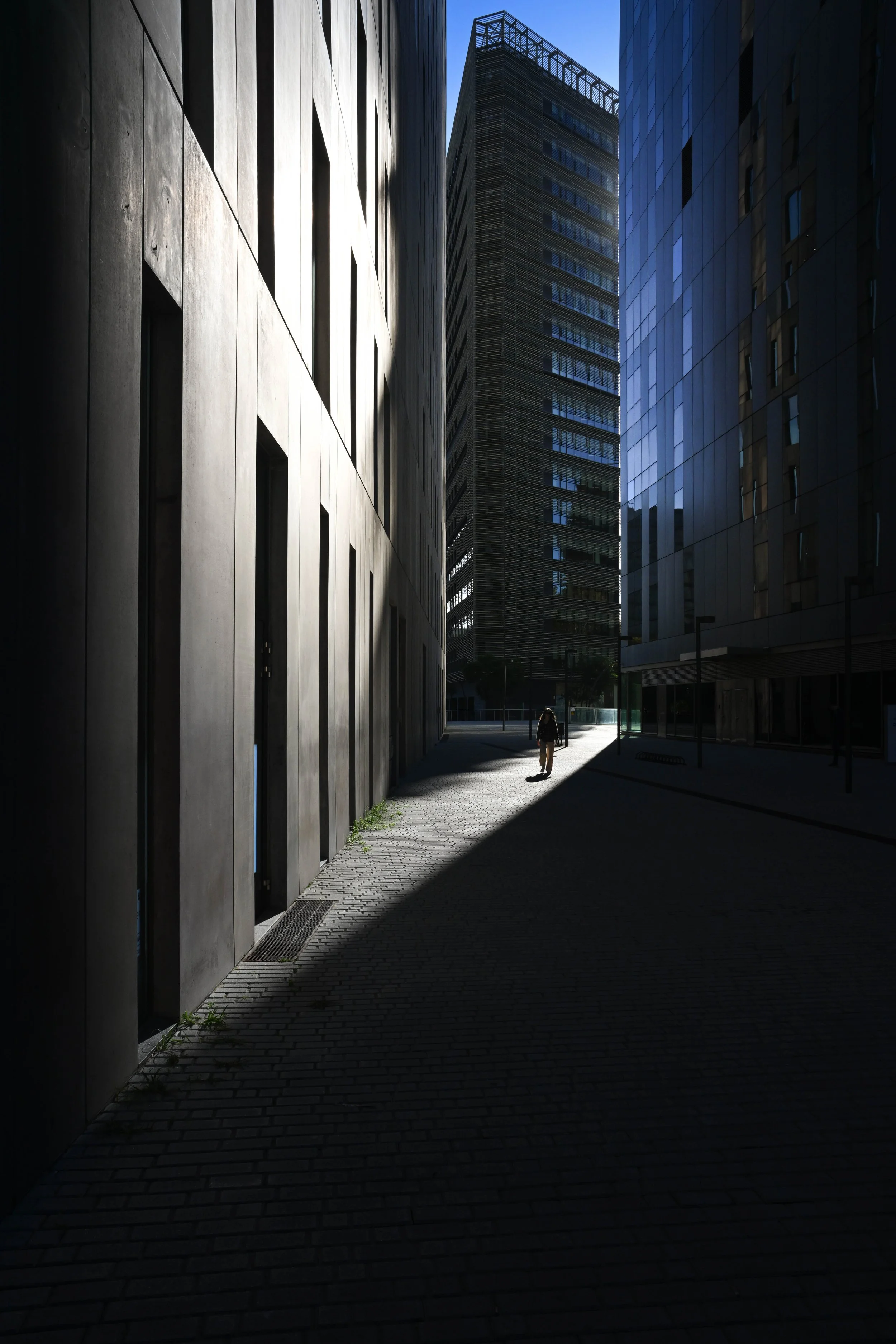 DIB_7797.jpg
