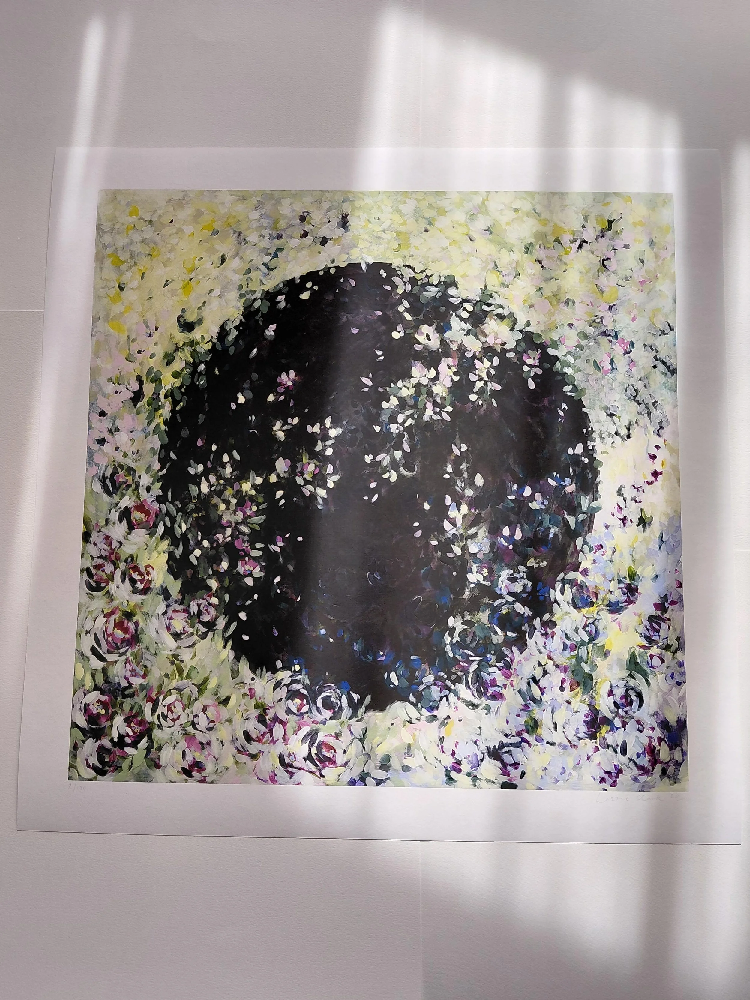 softenng print 2.jpg