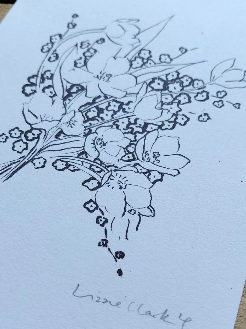 WhatsApp Image 2026-01-30 at 11.28.51 (1).jpeg