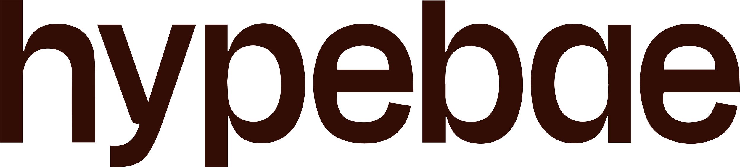 hybebae logo.png