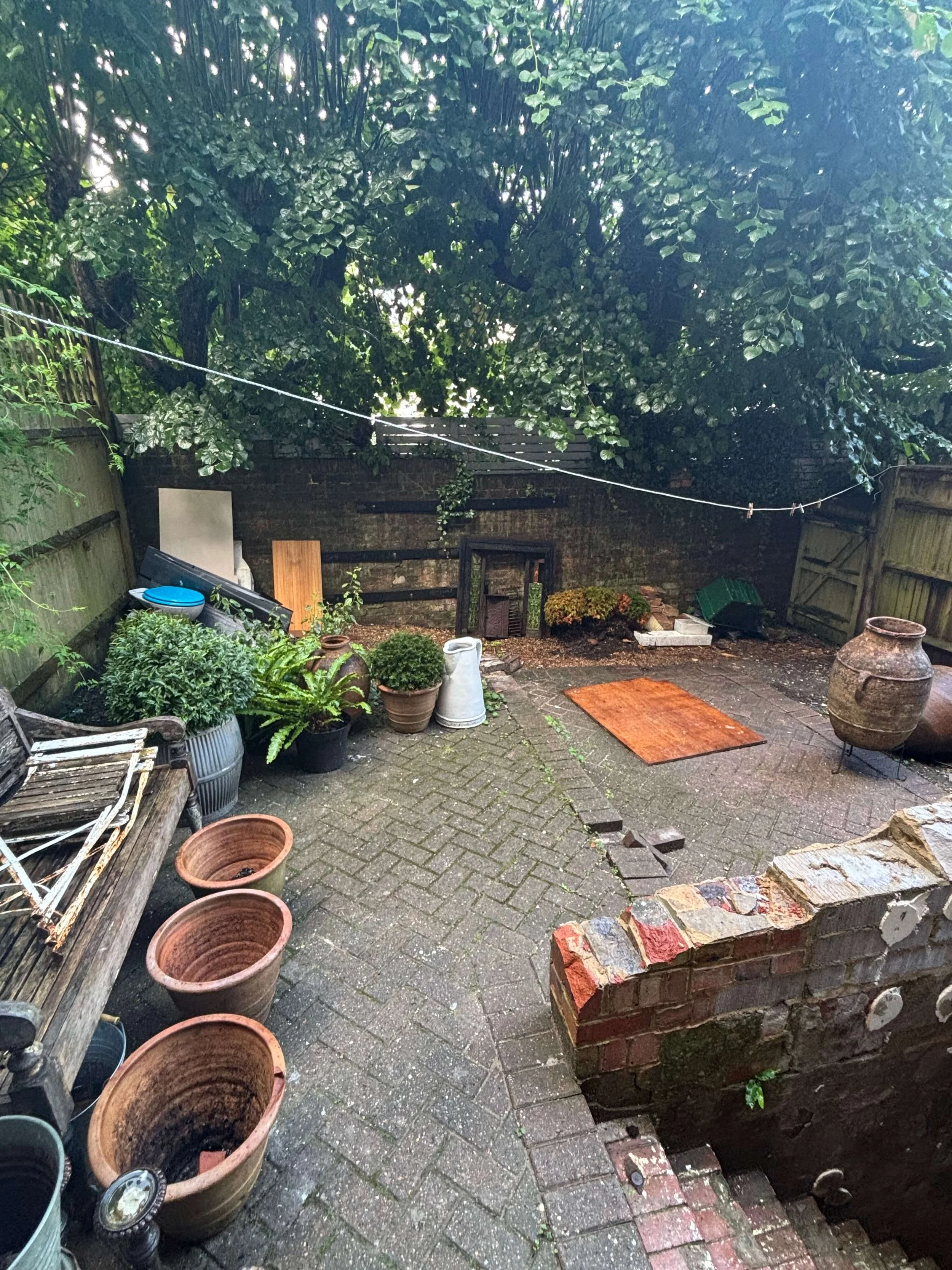 IMG_3680.jpeg