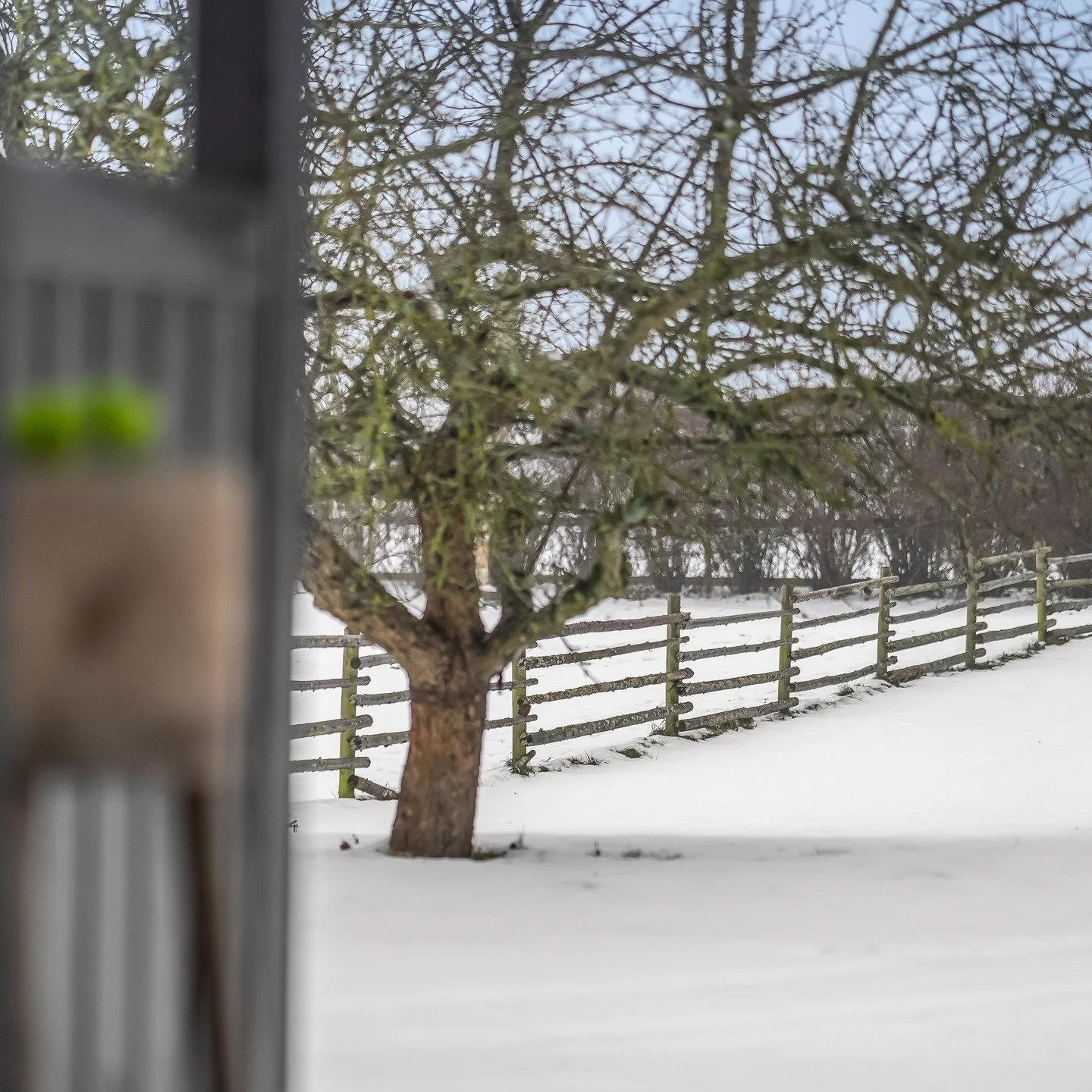 KOMMENDE NYHED! 

For yderligere information, kontakt venligst Ole Lindgreen &amp; Partner p&aring; 7022 3480. 

#kommendenyhed #kommendesalg #snarttilsalg #nyhed #comingsoon #forsalg #tilsalg #boligtilsalg
#ejendomsm&aelig;gler #realestate #boligdr&