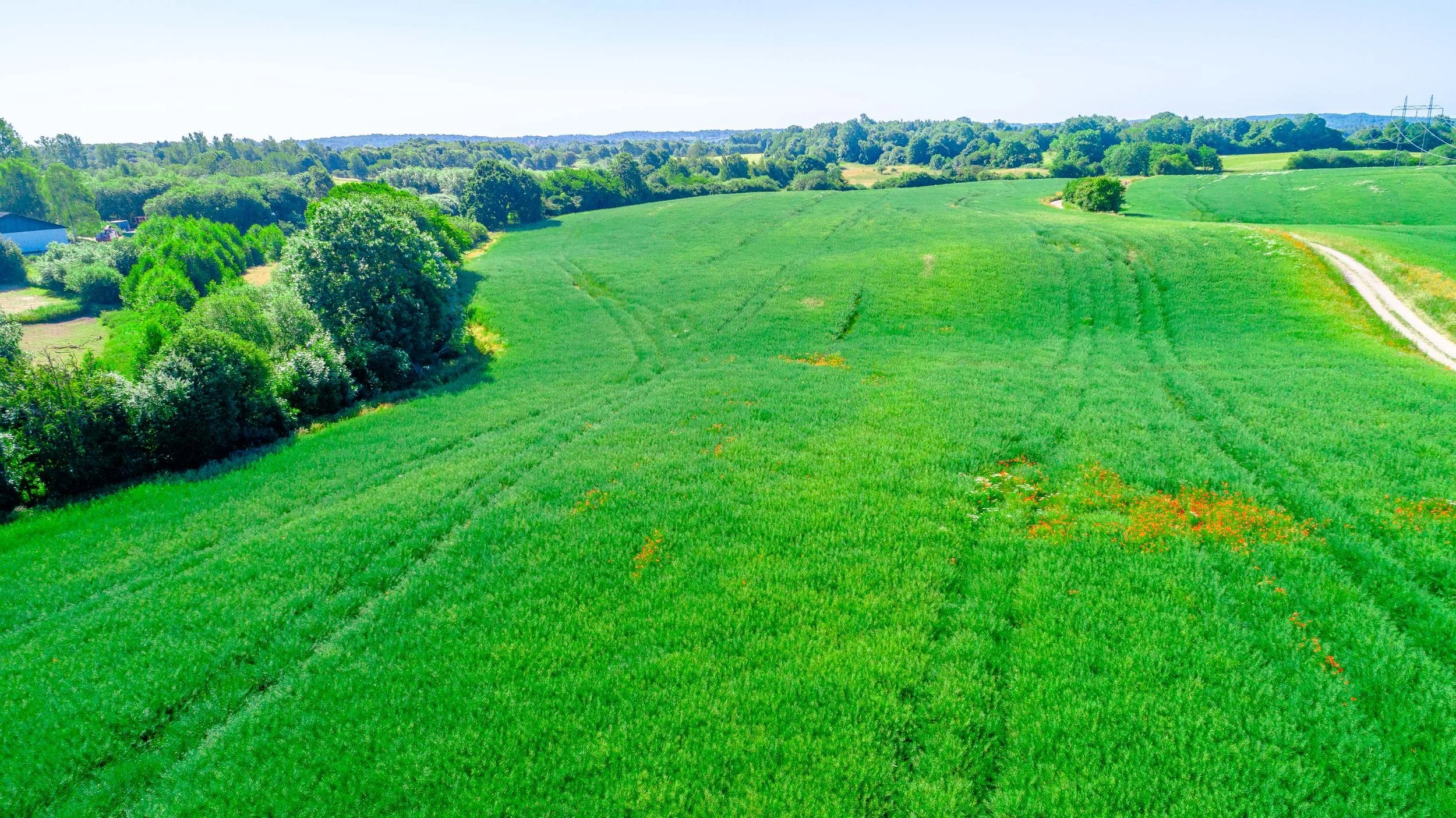 Fredtoftevej, Kokkedal