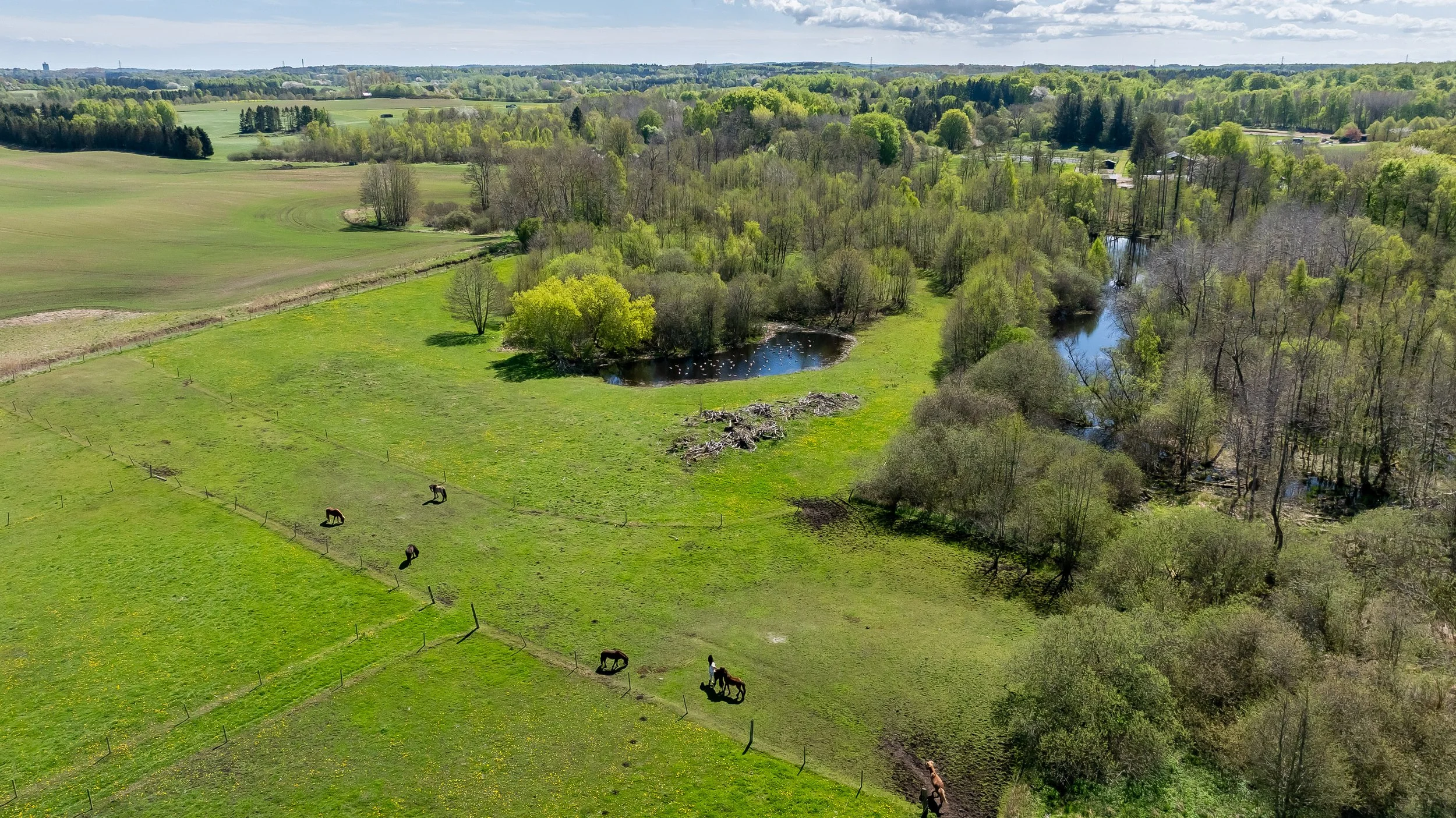 DJI_20260505132553_0017_D.jpg
