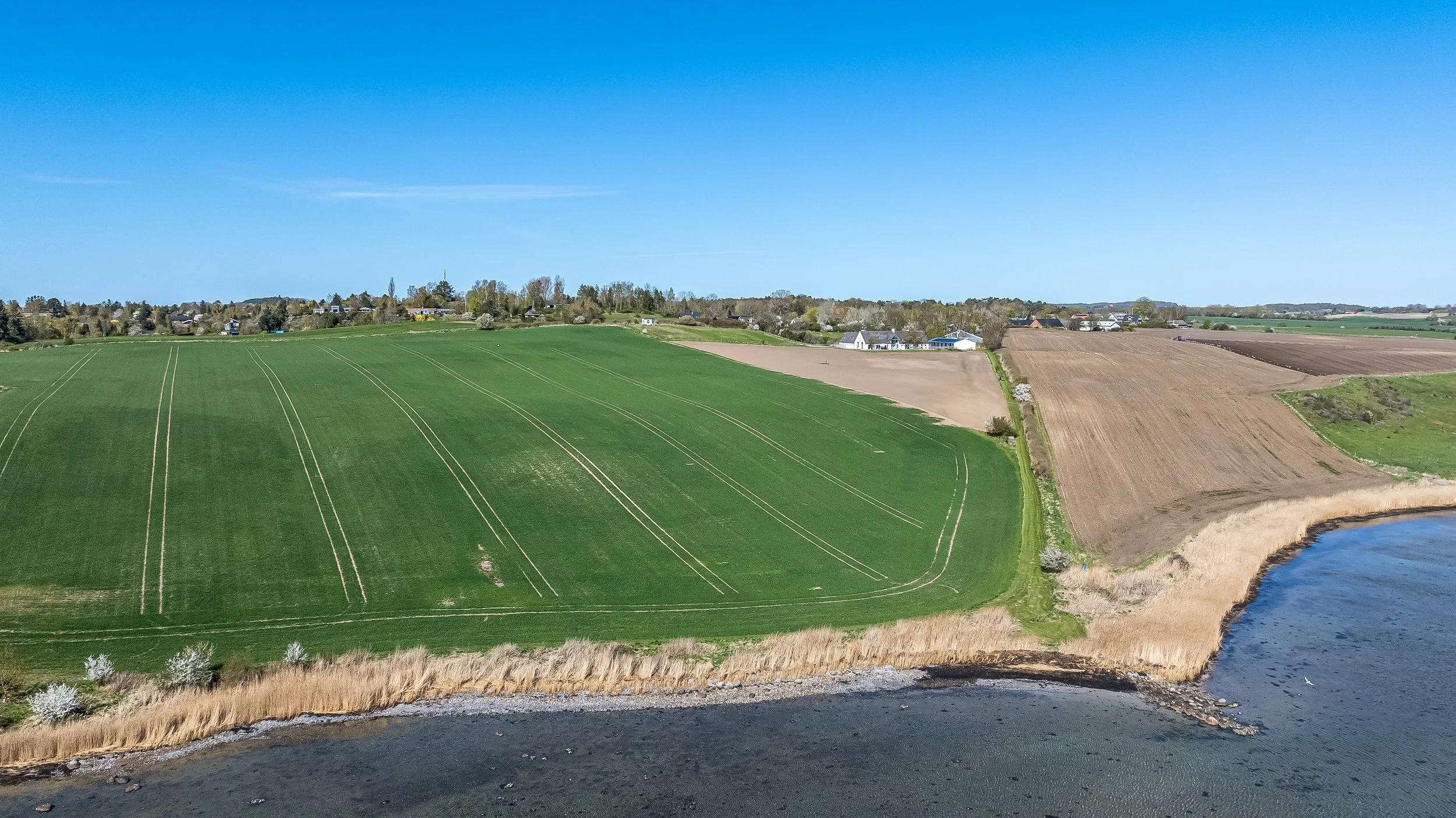 DJI_20260428153924_0098_D.jpg