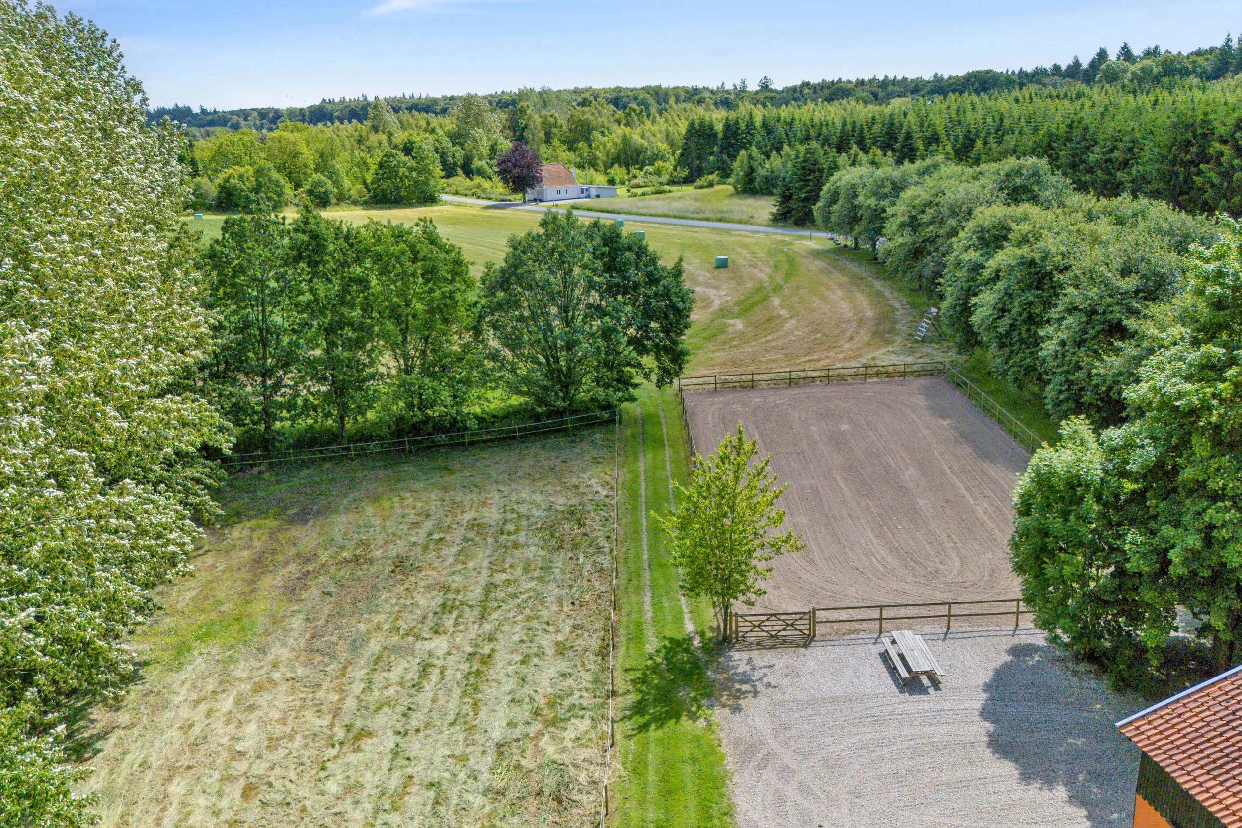 DJI-20250619150350-0182-D.jpg