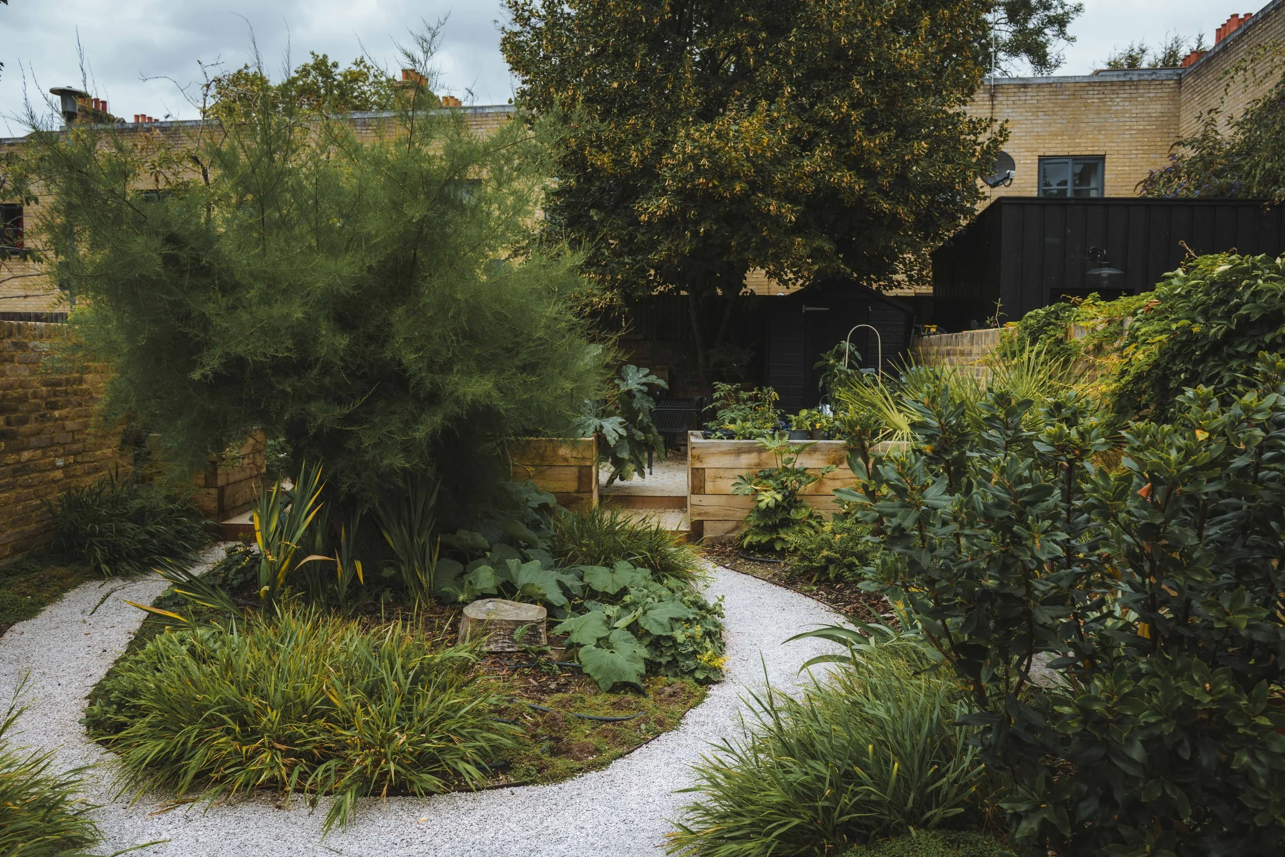 A landscaped backyard garden with a winding gravel pathway, various lush green shrubs, and a large tree with green and brown leaves. There are wooden raised garden beds and a small black shed in the background, with parts of brick buildings visible behind the trees and plants.
