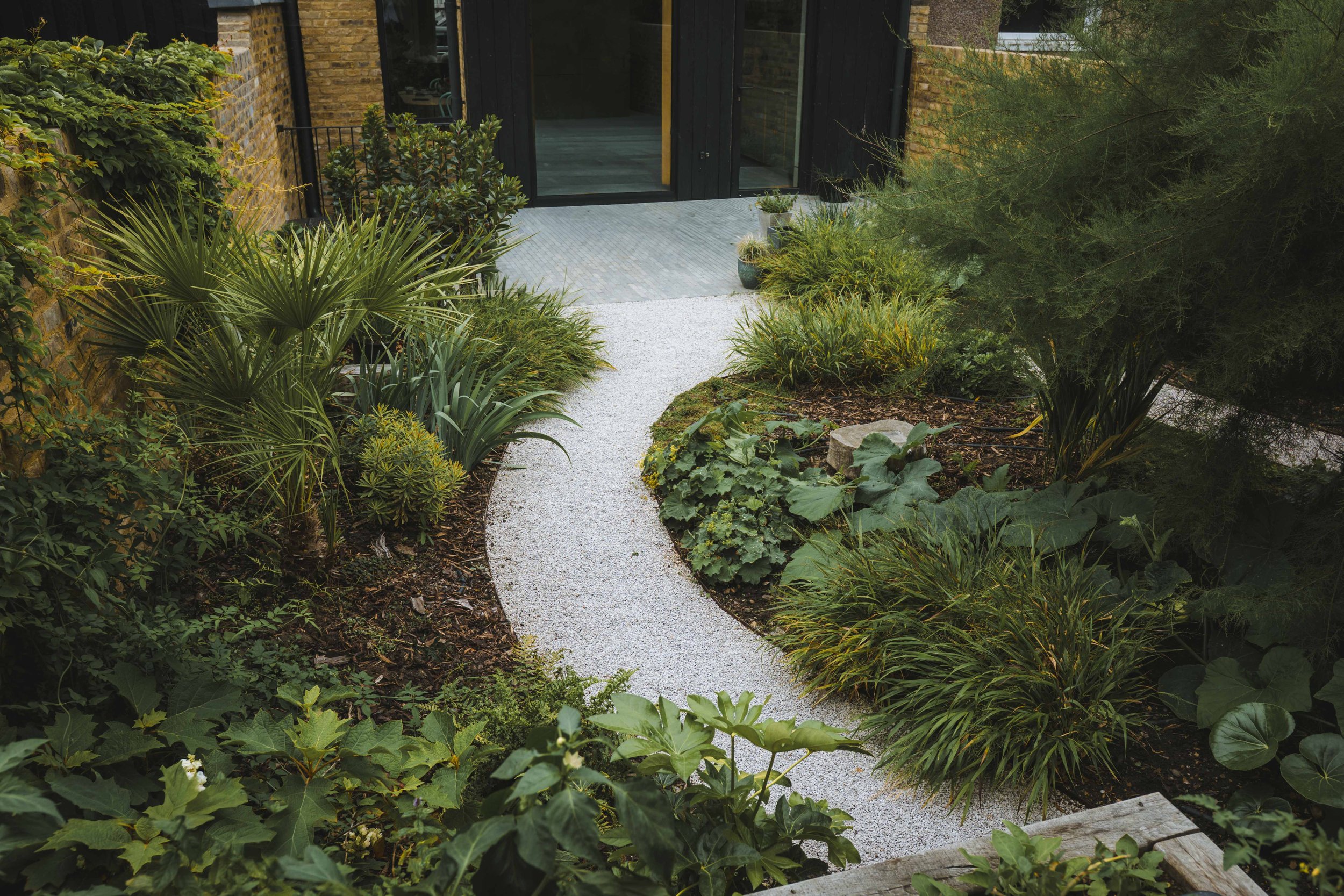 A garden pathway with white gravel leads to a modern glass door; it is bordered by lush green plants, shrubs, and small trees.