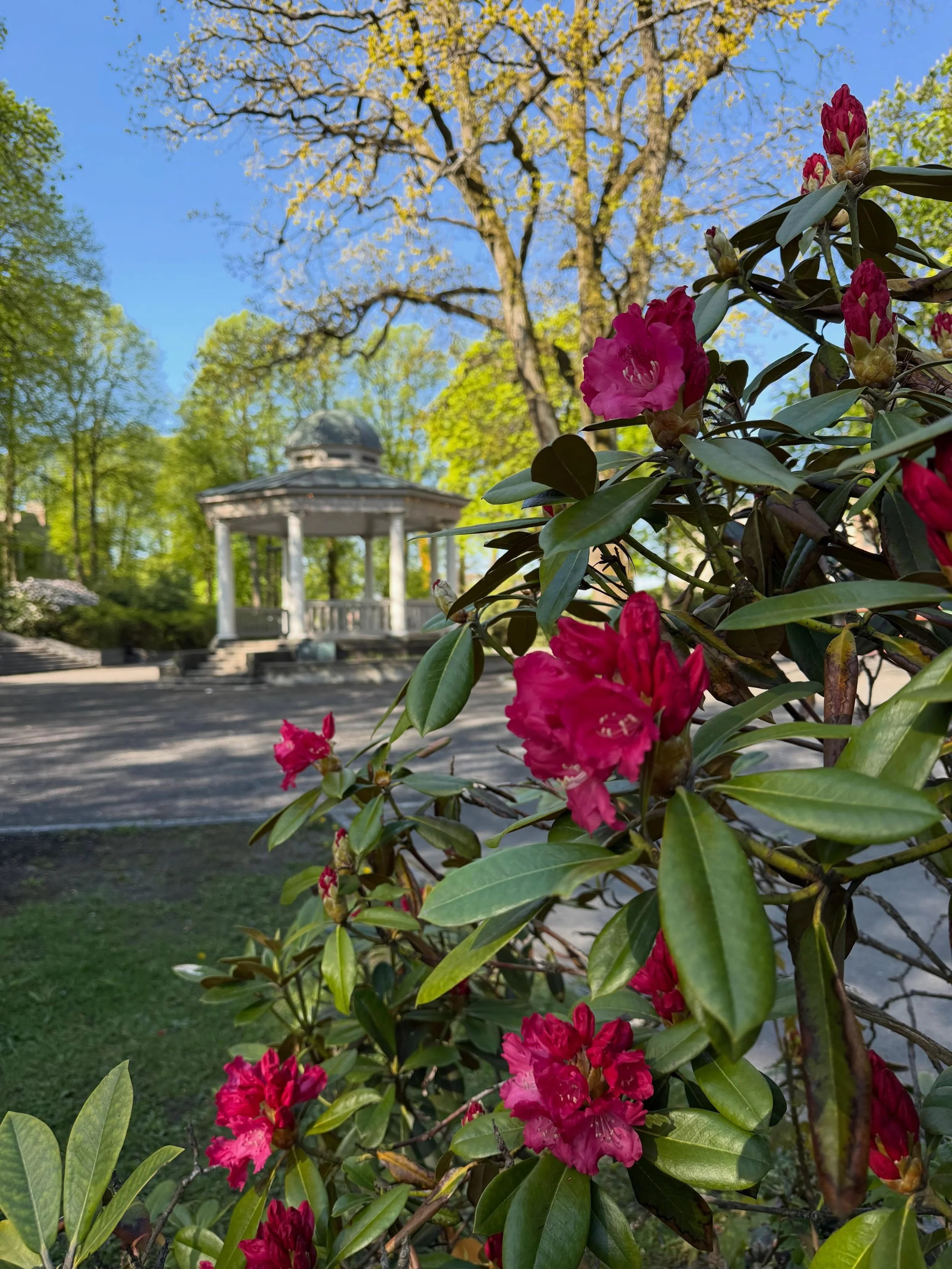 Nyt l&oslash;rdagen i byen v&aring;r🌷

🌷 Ta &aring;rets f&oslash;rste bad p&aring; en av byen flotte strender 
🌷Bes&oslash;k byens lekeplass
🌷 Spis en is eller 2
🌷 Ta en tur p&aring; kino
🌷 Test klatring p&aring; H&oslash;yt Under Taket Moss el