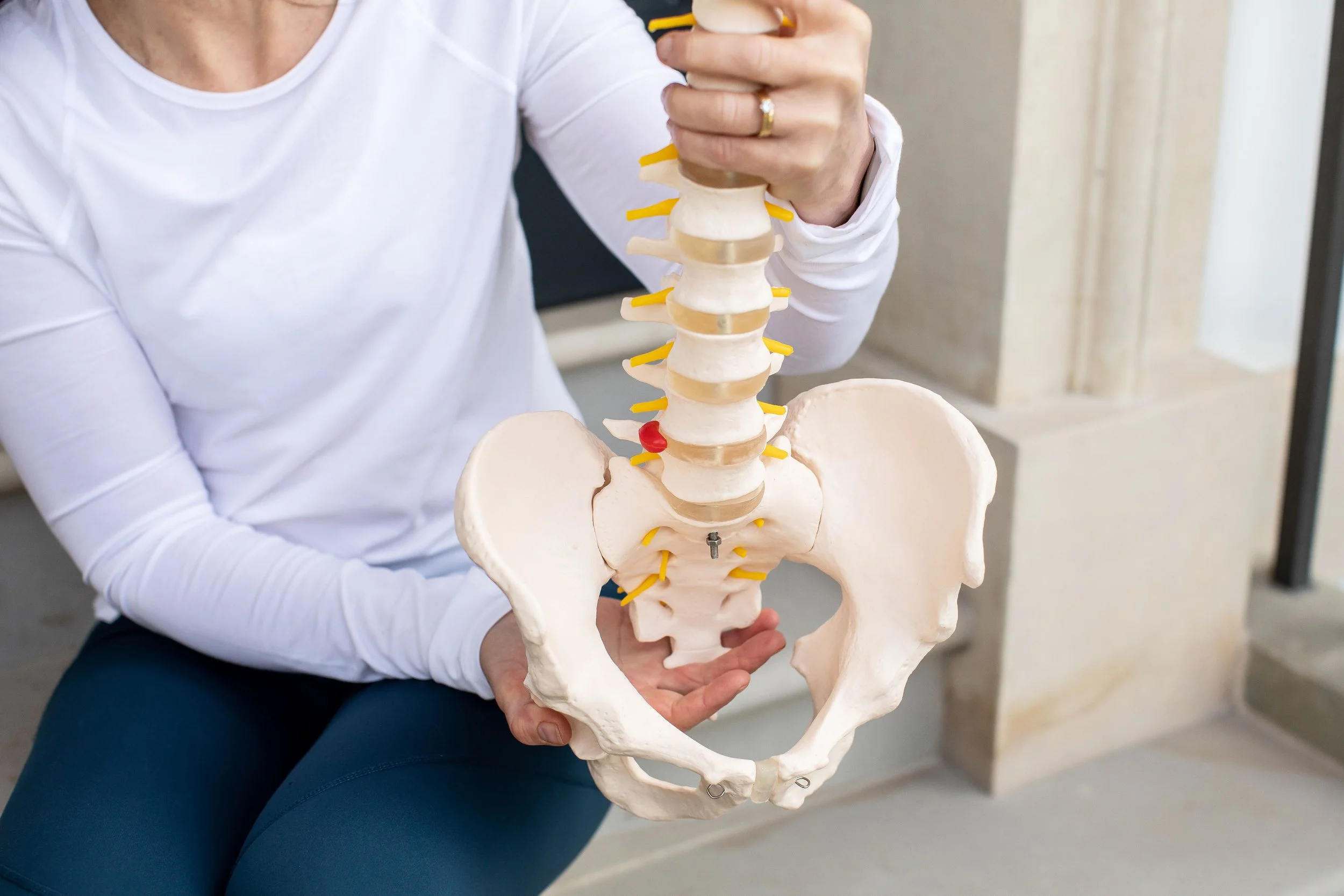 Osteopenia and Osteoporosis: your essential tool kit   