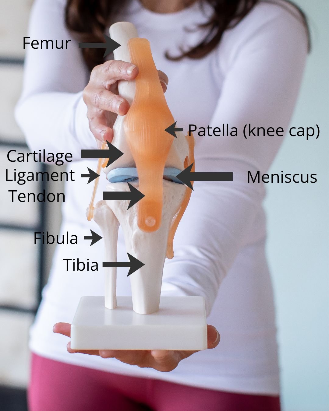 How can you tell if your knee pain is from osteoarthritis or your meniscus? Why do you get knee pain in menopause?