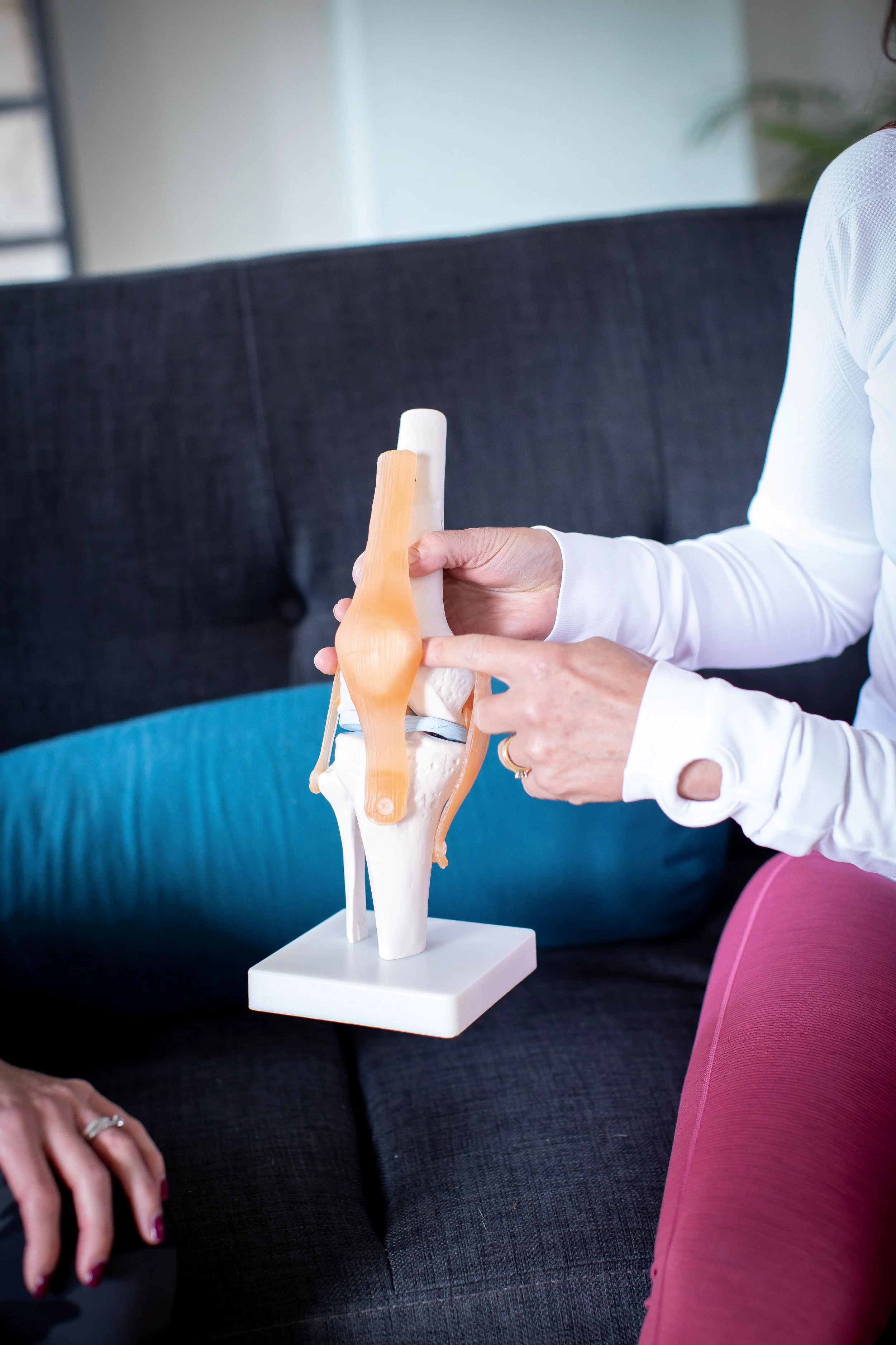Close up of lady pointing to a plastic knee joint