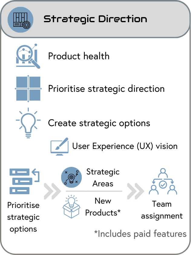 Strategic Direction Full