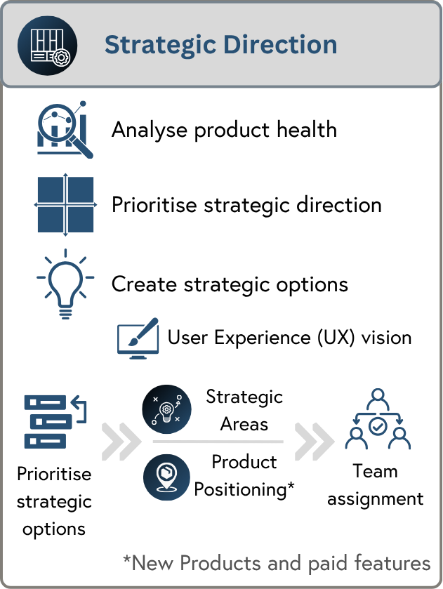 Strategic Direction Full