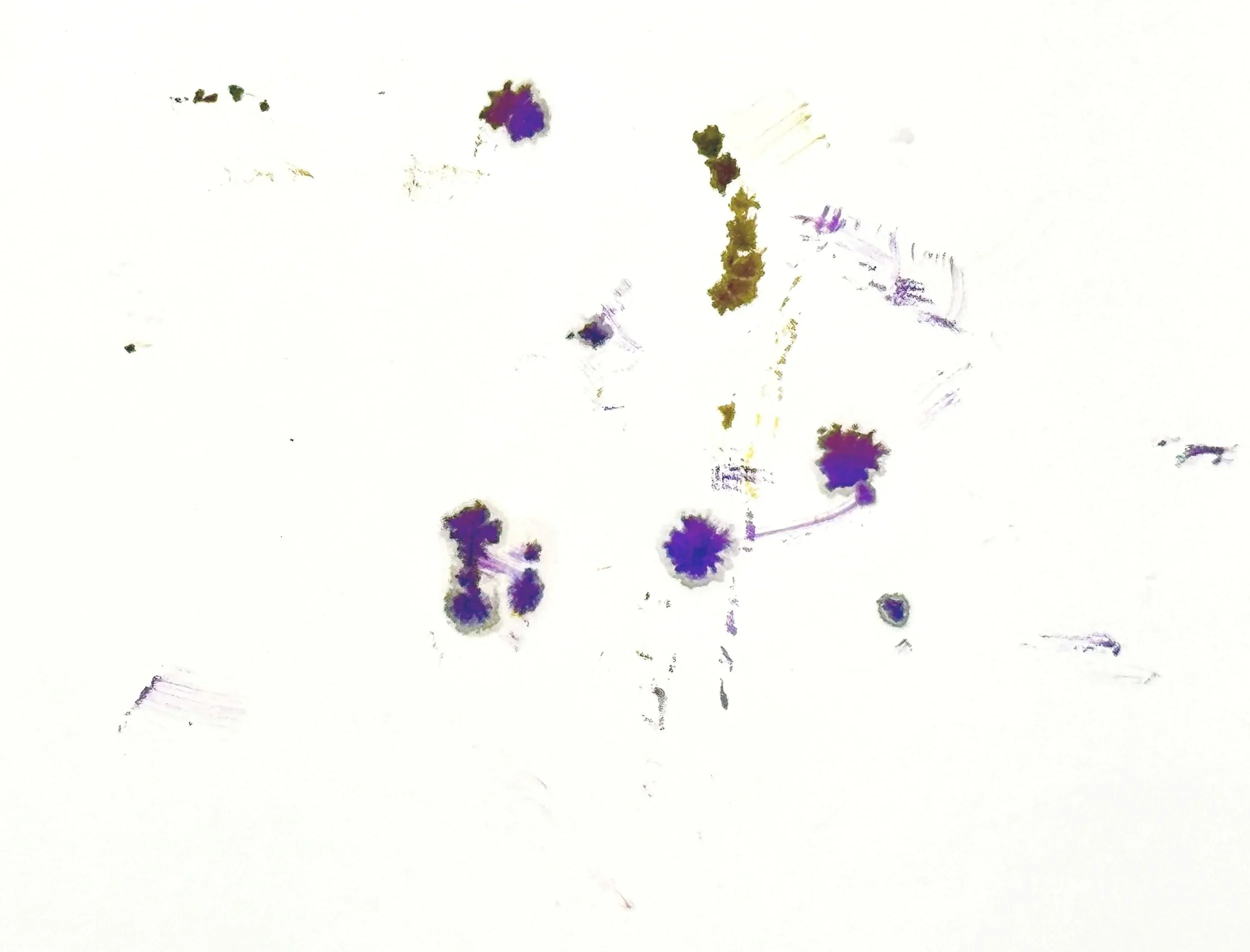 Eine weiße Karte mit blauen und lila Punkten und Linien, die zufällig verteilt sind.