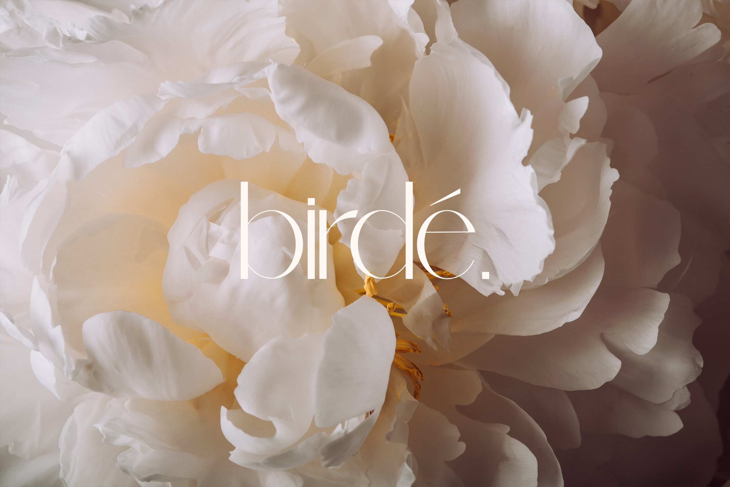 BIRDE_WHITE.jpg