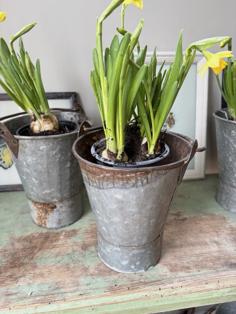 Screenshot 2026-02-13 at 18.22.02.png