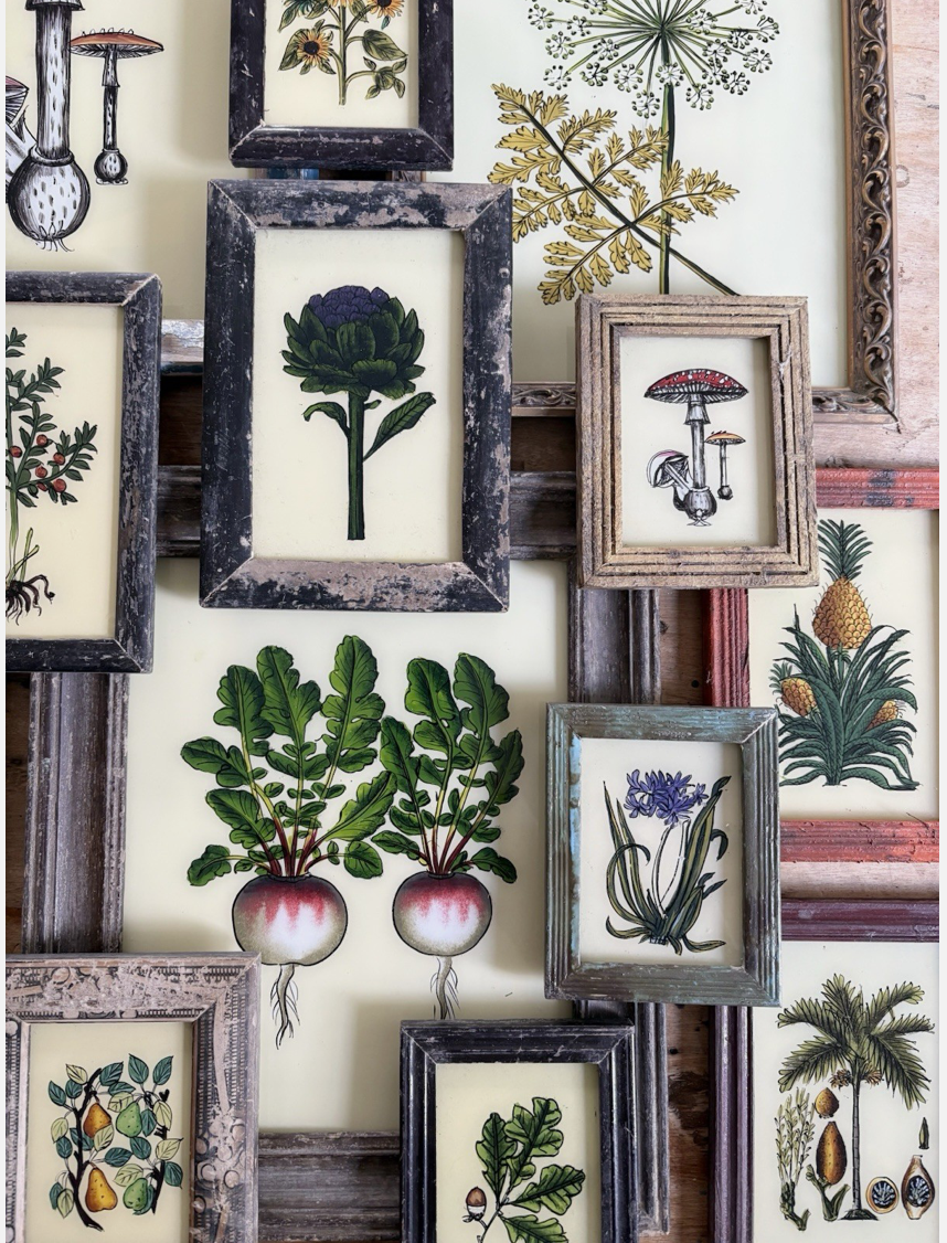 Screenshot 2026-01-20 at 19.18.10.png