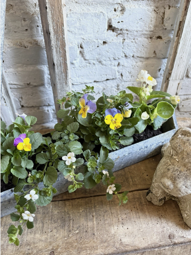 Screenshot 2026-04-20 at 20.05.31.png