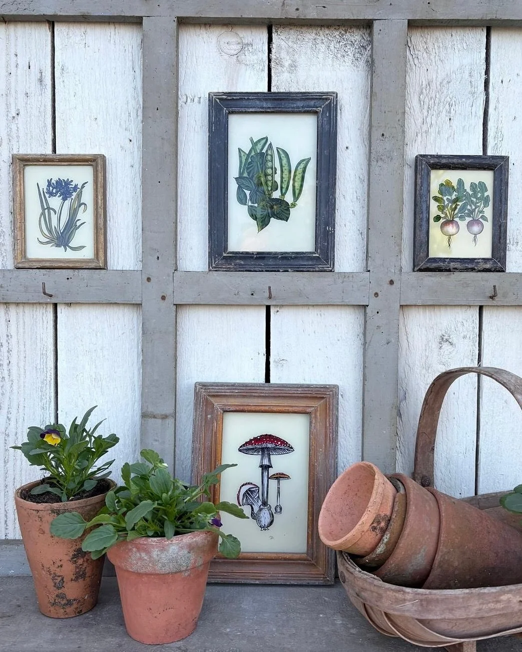 We have lots of rustic accessories to add charm and character to your home this Autumn 🍂 Browse our online collection to discover more. Our couriers deliver across the UK, so feel free to message us if anything catches your eye 🫛🫜🍄
.
.
#homeacces