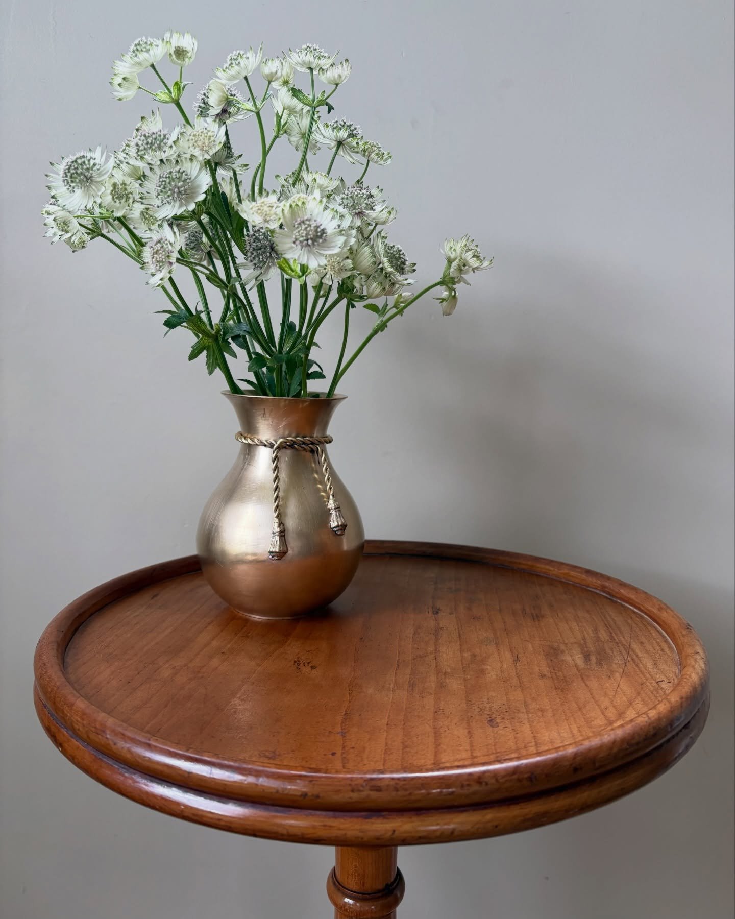 A lovely brass vase filled with seasonal blooms sitting upon a charming wine table. Perfect companions 🫶Available now, along with lots of other new finds over on our website💫 

#vintageinteriors #smalldecor #tabletoptreasures #antiquefurniture #rus