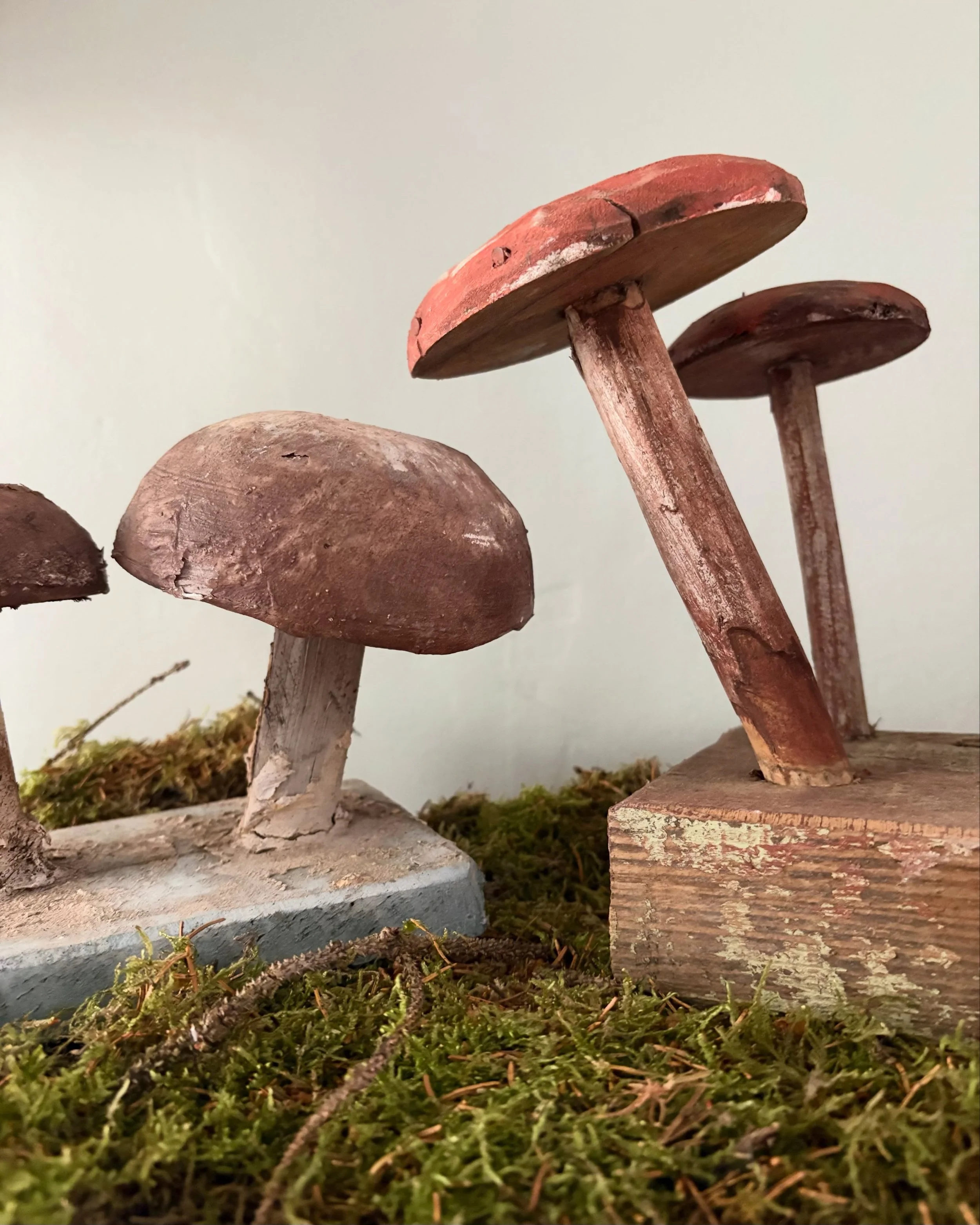 Which would you choose? 🍄🍄&zwj;🟫

A wonderful collection of handcrafted folk art toadstools, all with their own beautifully timeworn character. Layers of hand-painted colour have softened and faded over the years, creating the kind of patina only 