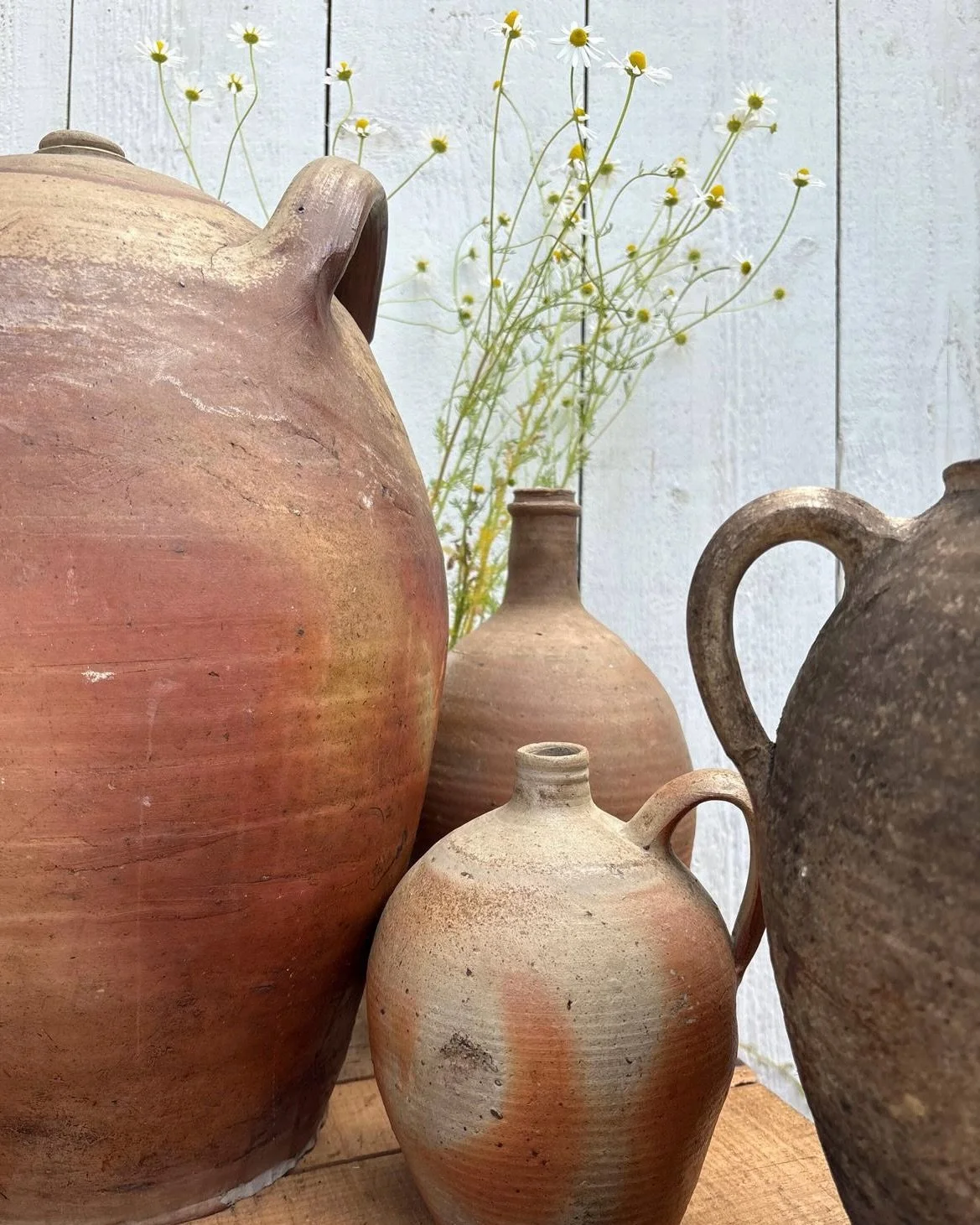 A beautiful collection of French oil vessels, all with their own distinctive character. 🤎

With their generous, rotund forms, softly weathered terracotta and subtle matte glazes, these are pieces that feel as though they belong to another time &mdas