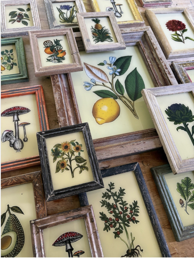 Botanical Reverse Glass Paintings