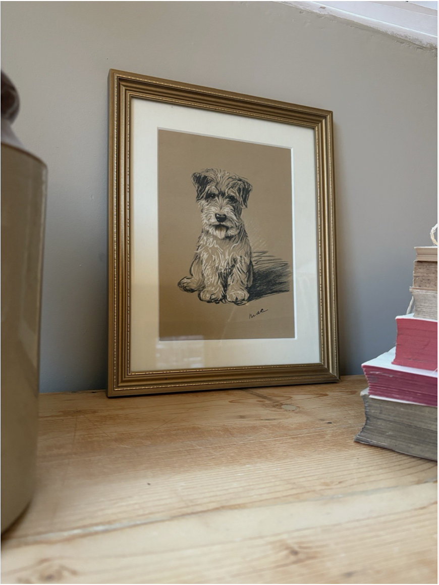 Screenshot 2025-12-18 at 13.50.50.png