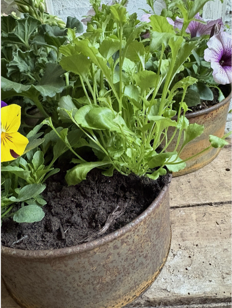 Screenshot 2026-04-24 at 11.11.42.png