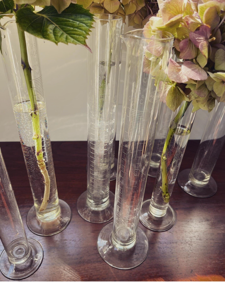 Screenshot 2026-02-07 at 11.47.44.png