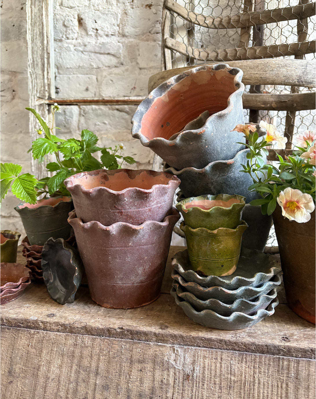 Vintage Terracotta Scallop Flower Pots