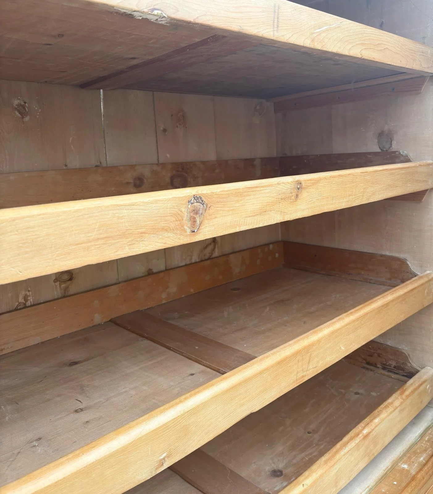 PHOTO-2026-02-23-11-52-00 6.jpg