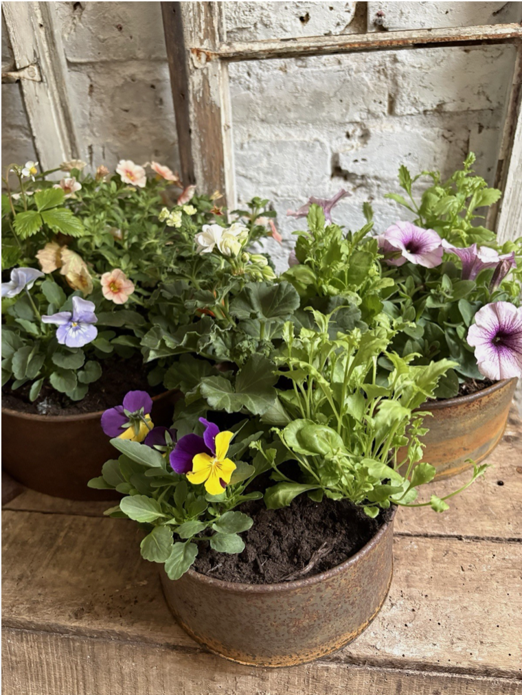 Screenshot 2026-04-24 at 11.11.25.png