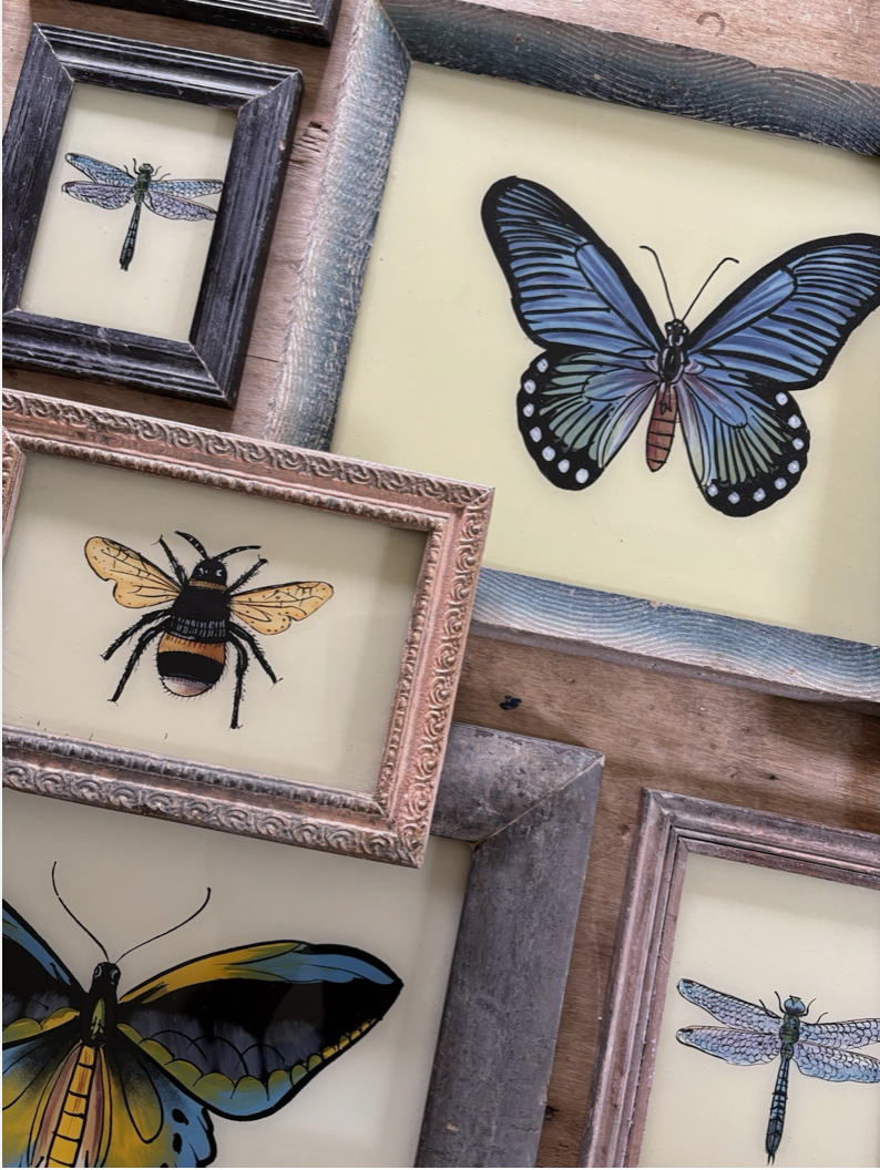 Insect Glass Paintings