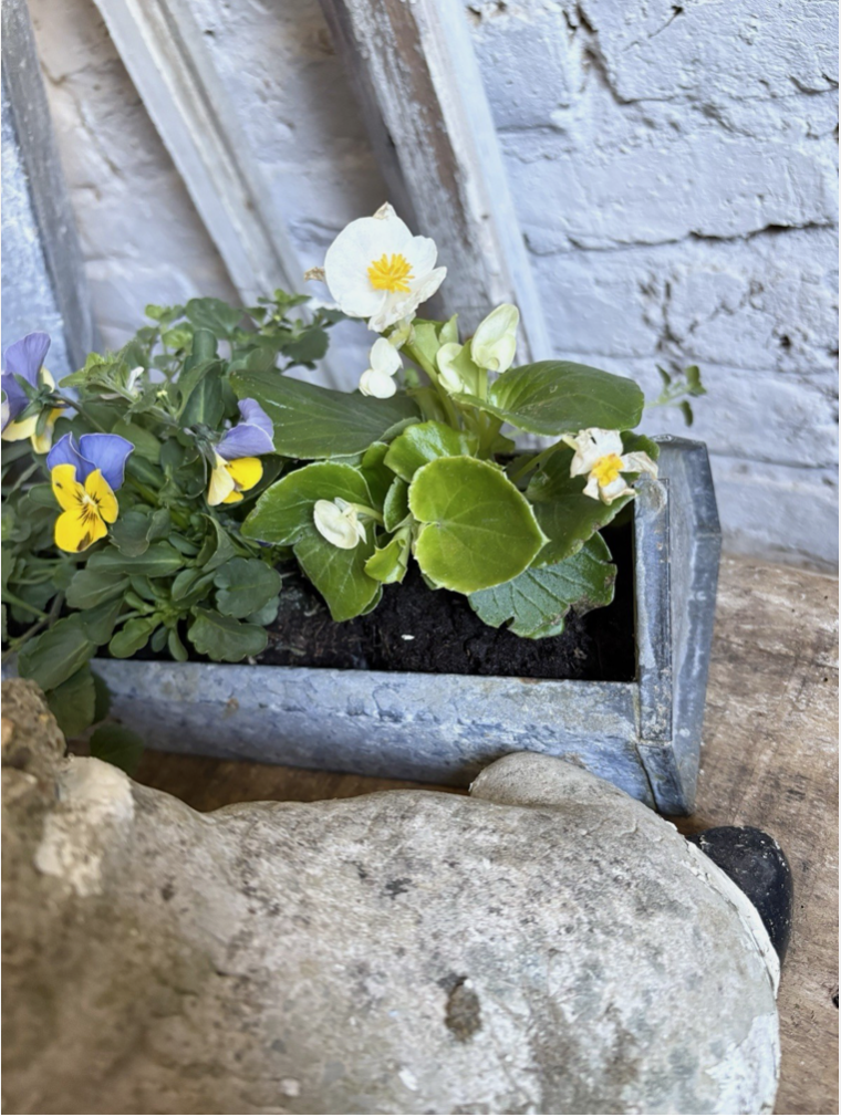 Screenshot 2026-04-20 at 20.06.22.png