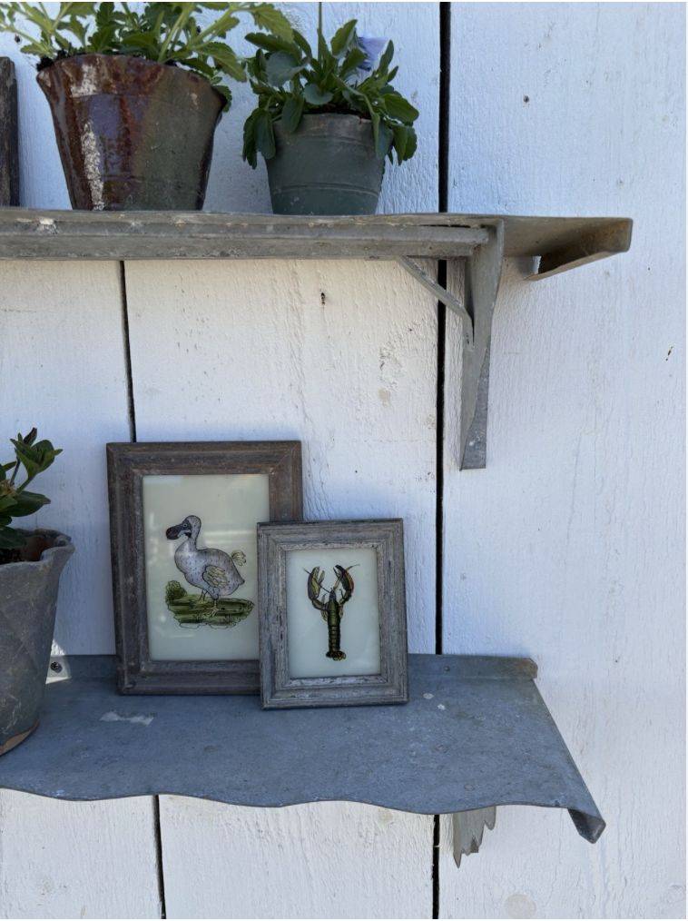 Screenshot 2026-04-24 at 11.36.05.png