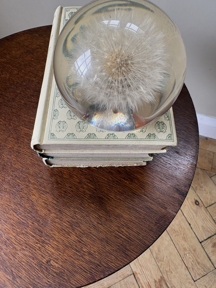 Screenshot 2026-03-27 at 15.51.33.png