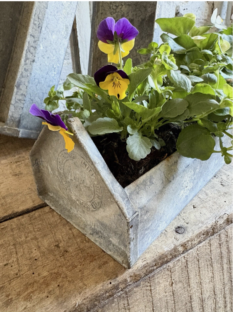 Screenshot 2026-04-20 at 20.05.40.png